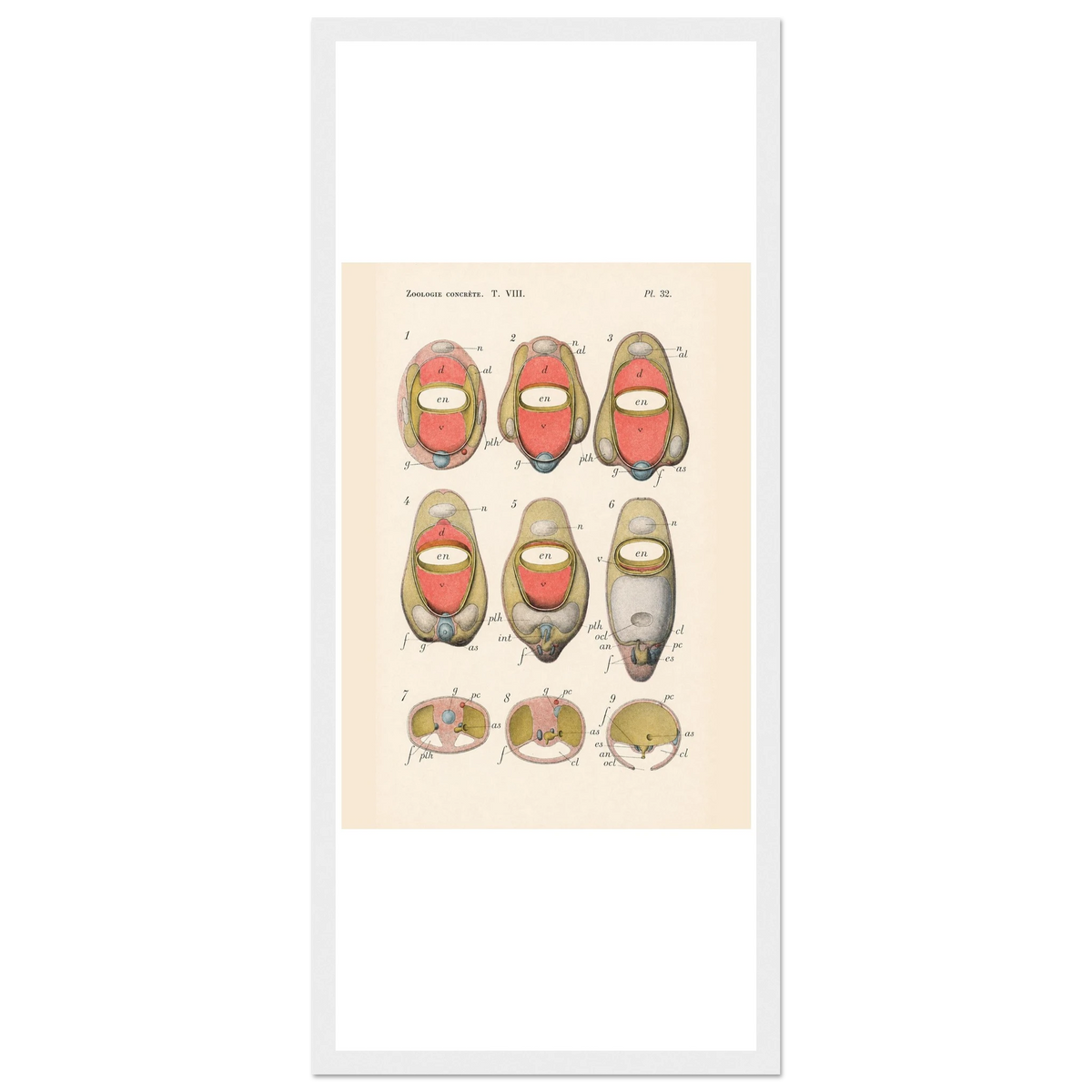 8ed5c6b9-87e6-406e-9eed-9de42f08248a