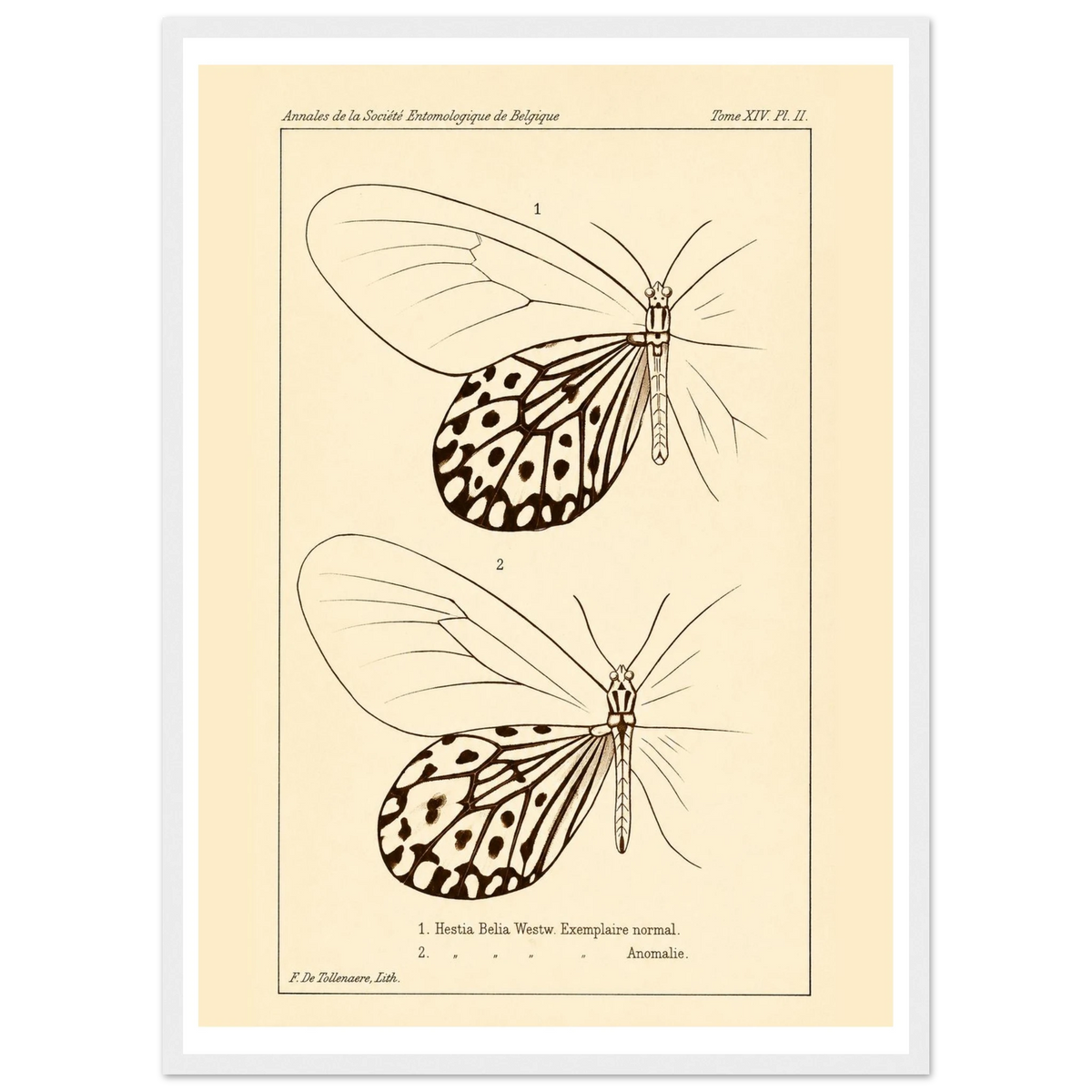 8f5f6b86-389b-4d1b-a30f-84bee36ff16e