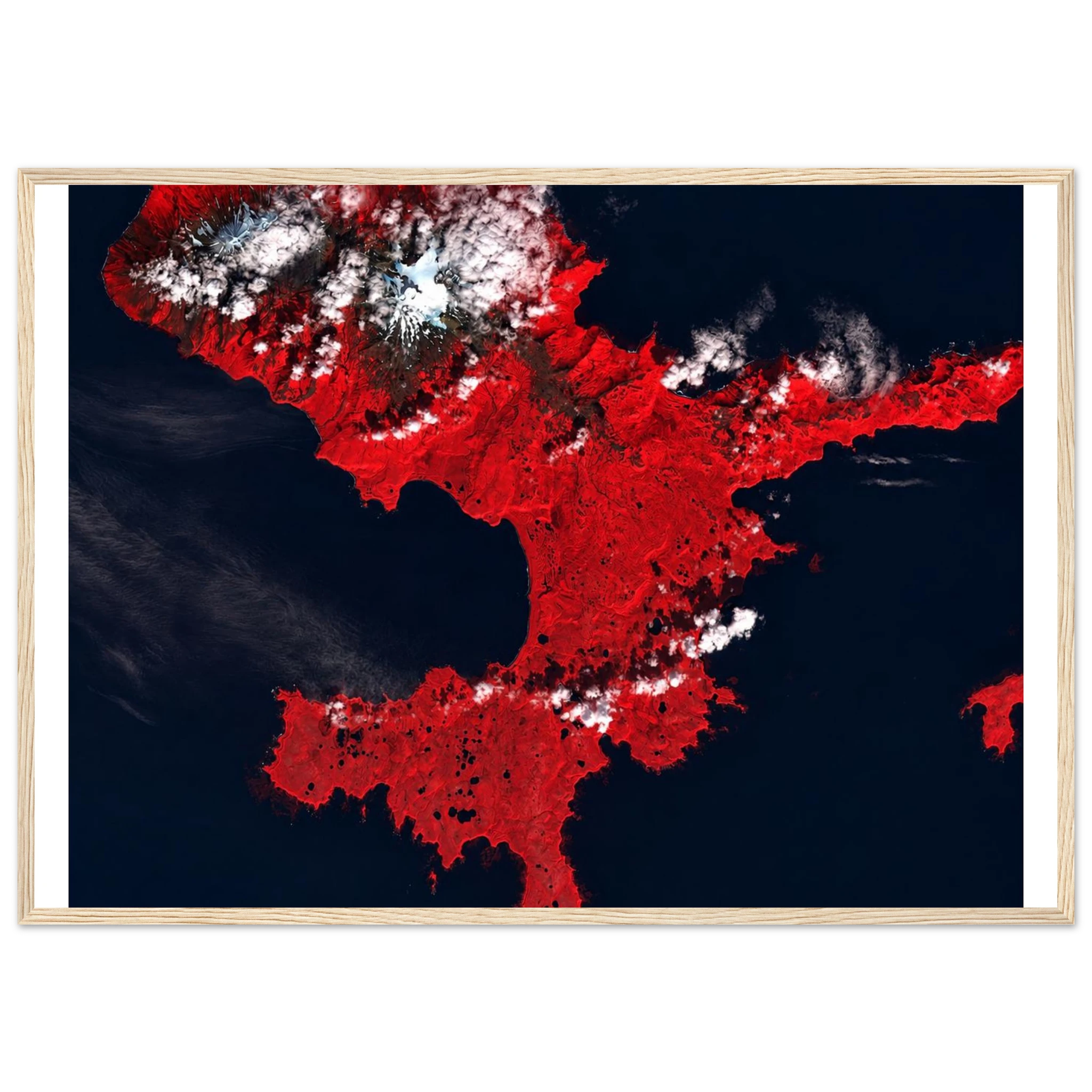 8ffde675-41e9-4279-b16a-c60250ee178d