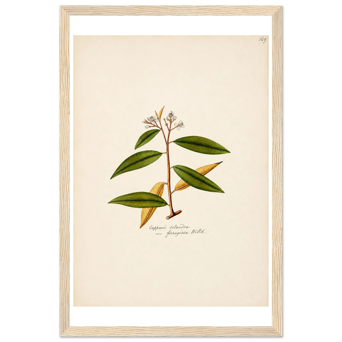 8fffed7c-317b-4489-9b91-1fdfc9833c11