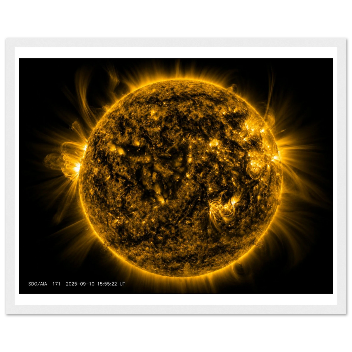 90ba6430-84cd-49cc-8e1b-7eb53107271d