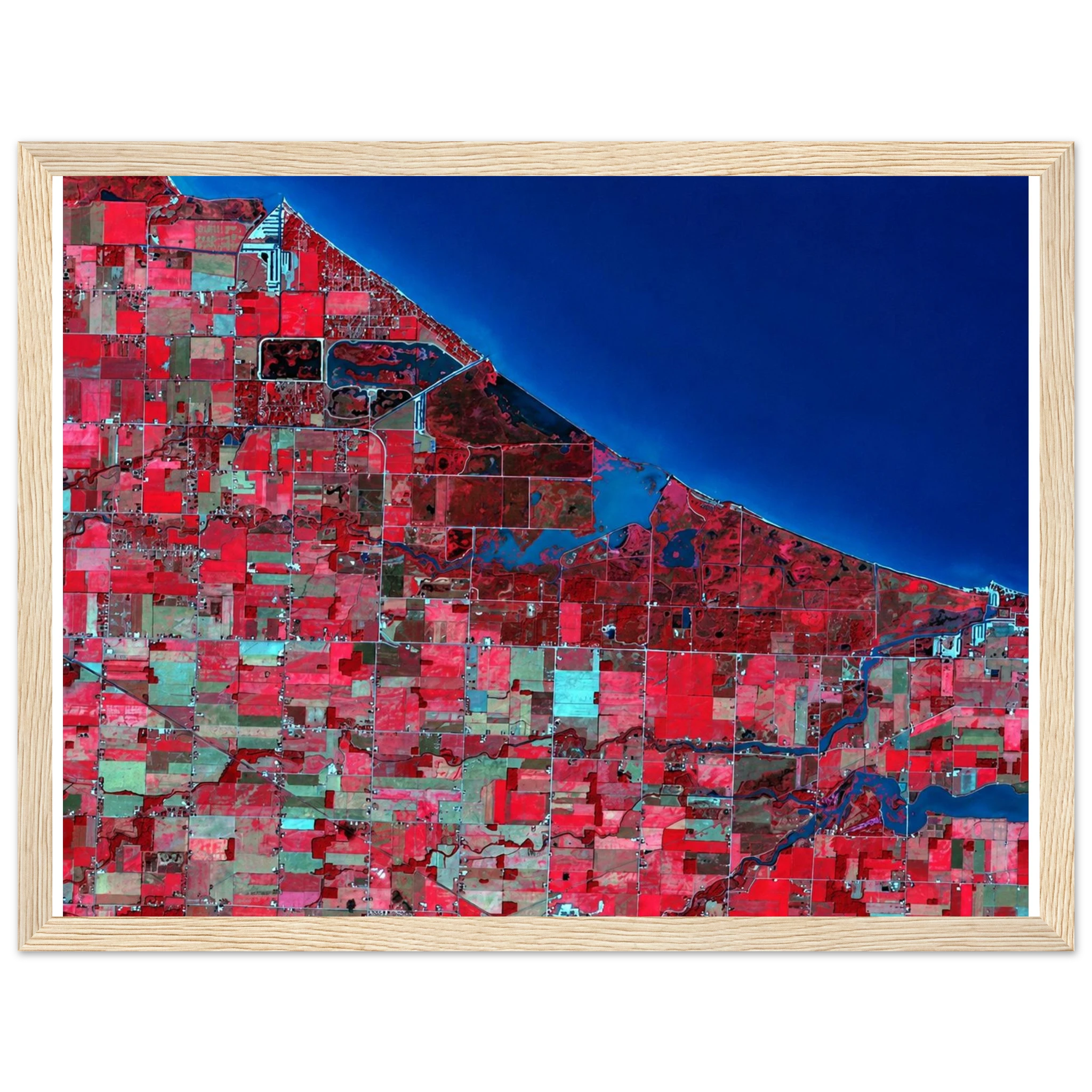 90dbfcc3-9601-4c3c-a943-244836b47be4