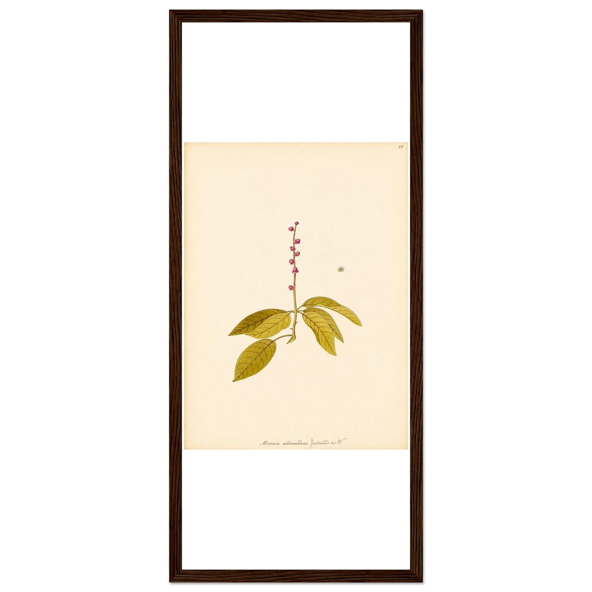 90e95d42-0fc8-4bcc-b83c-e7909a345937