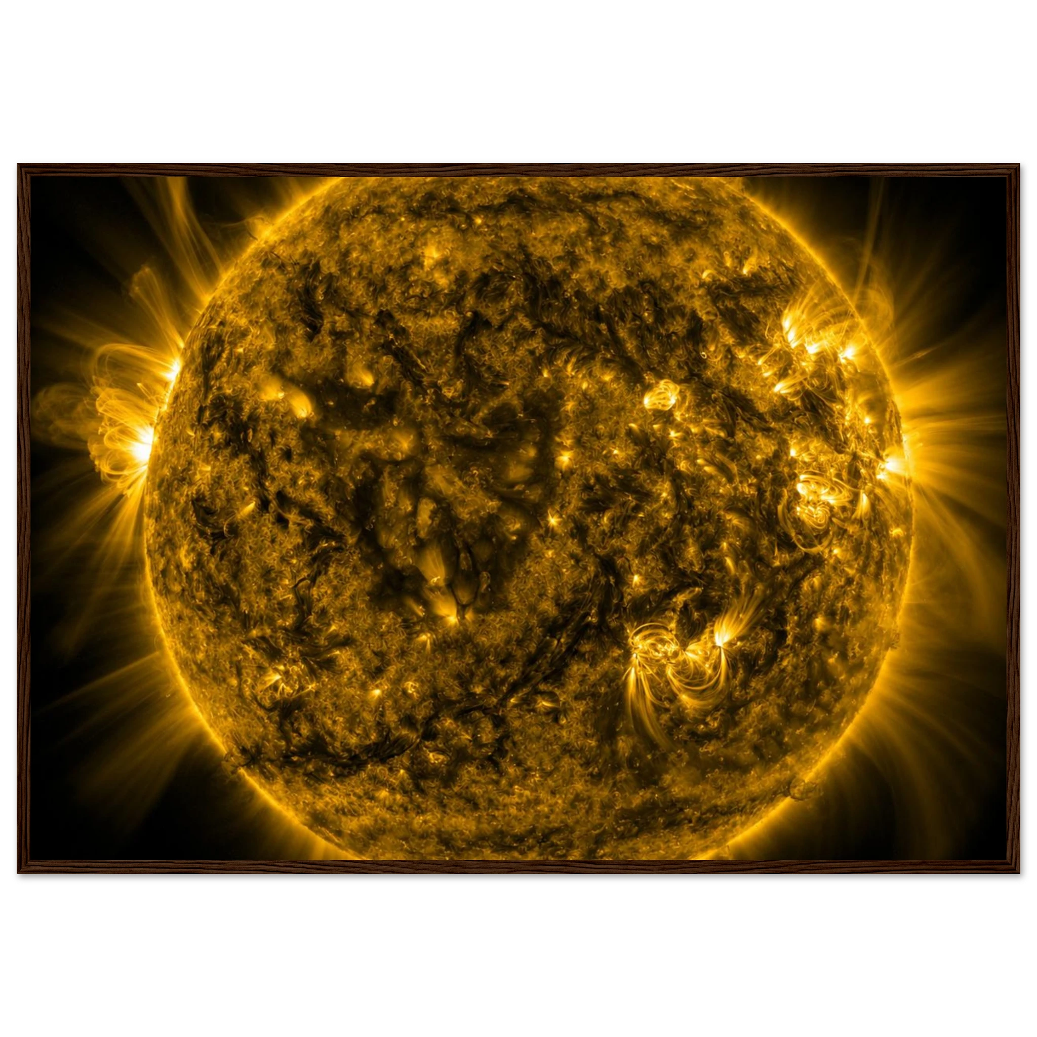 9104c6e3-2ea9-40d0-9c92-35c04e829860