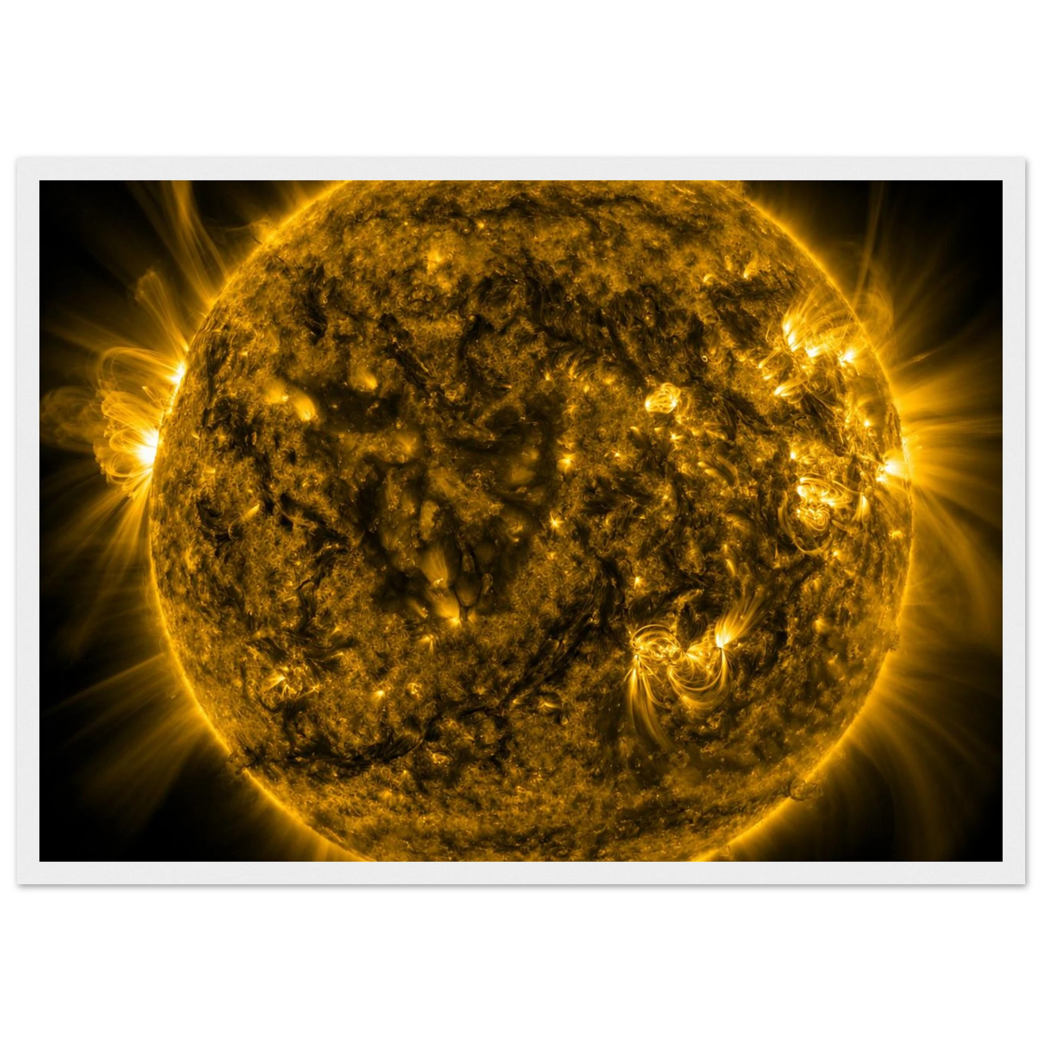 918d7595-171d-454a-b870-376281728f01