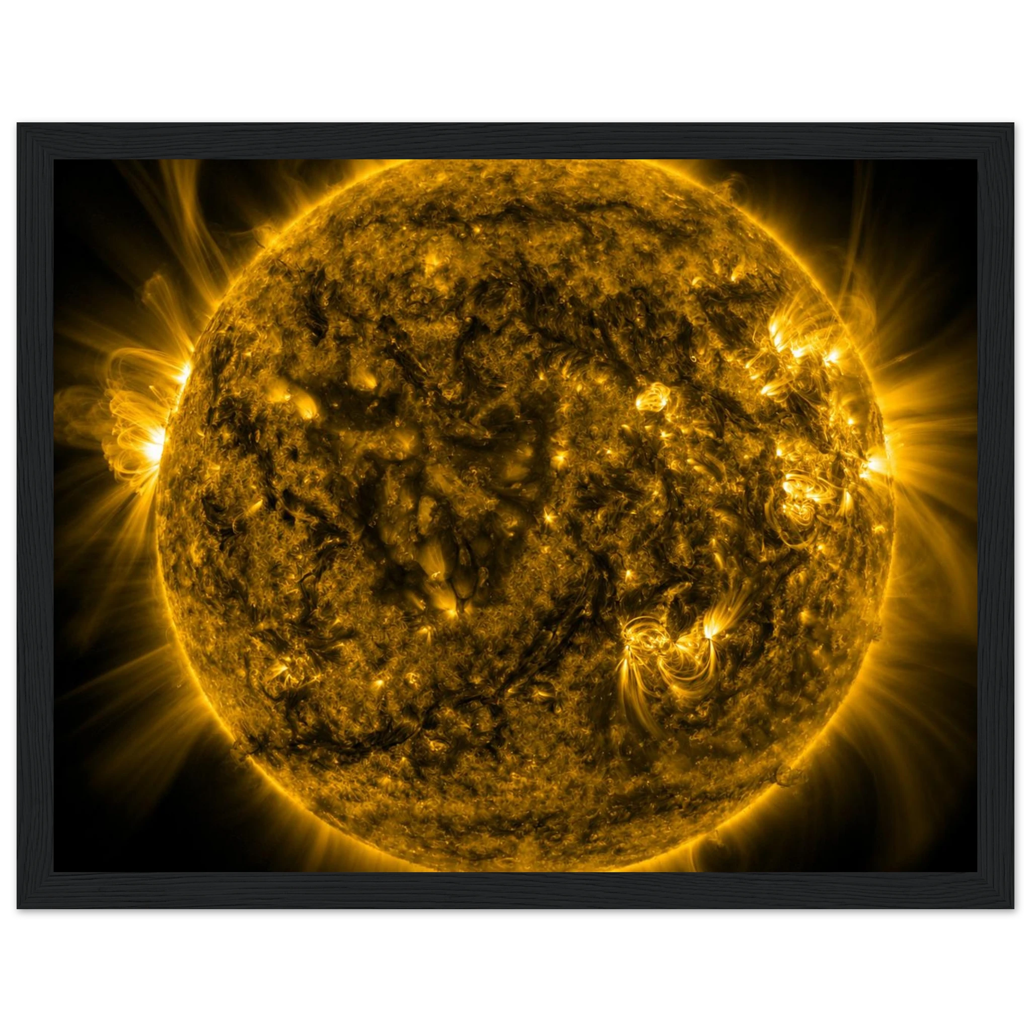 91c77c65-aa02-4889-8e19-392362b61551
