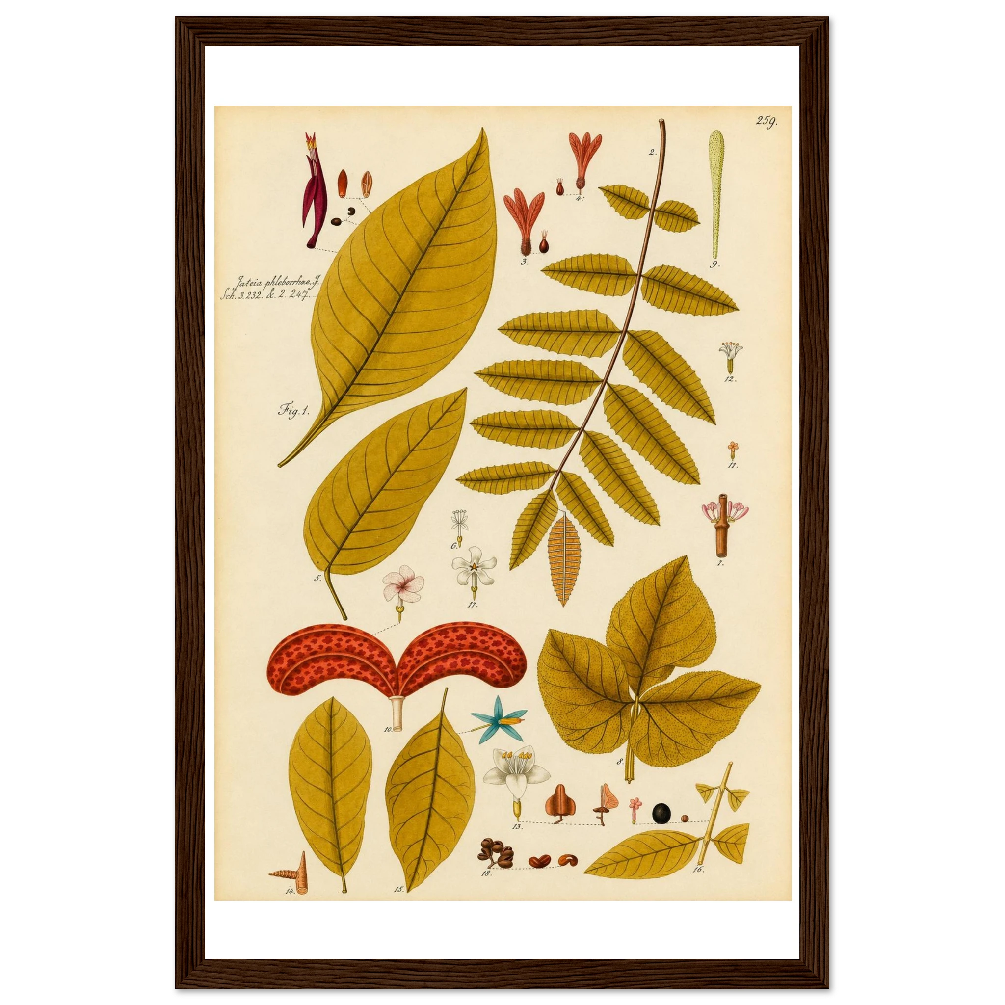 91cdcbb8-fd47-435c-9f32-36a57cd1b0ad
