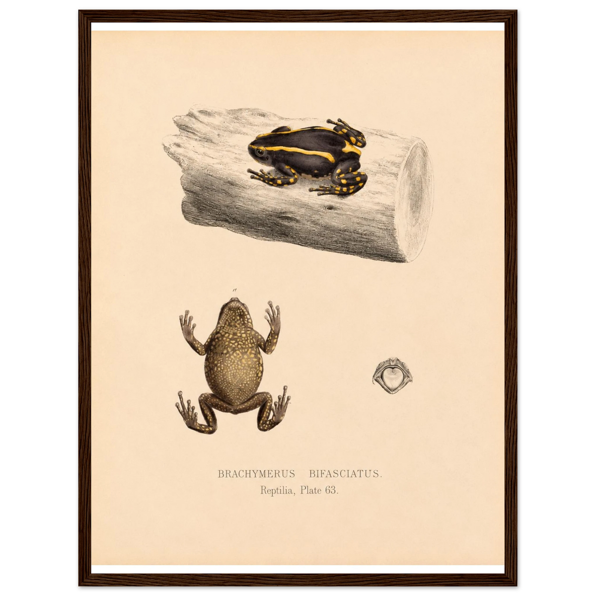 91dccf26-deab-4a90-9a7b-1ab9101e4f4d