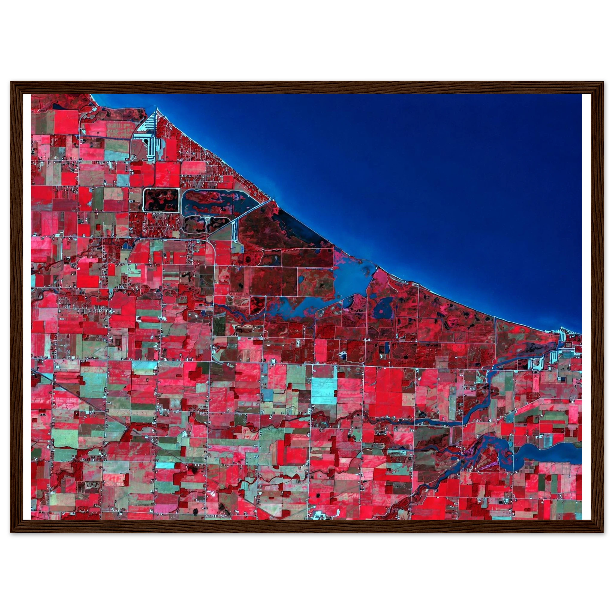 92309425-47e2-43ac-af67-e1834705605c