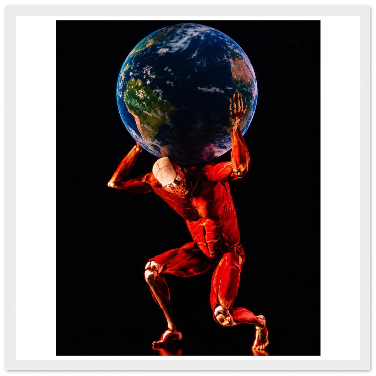 92dc50cd-6fe8-47e9-8844-42f308124393