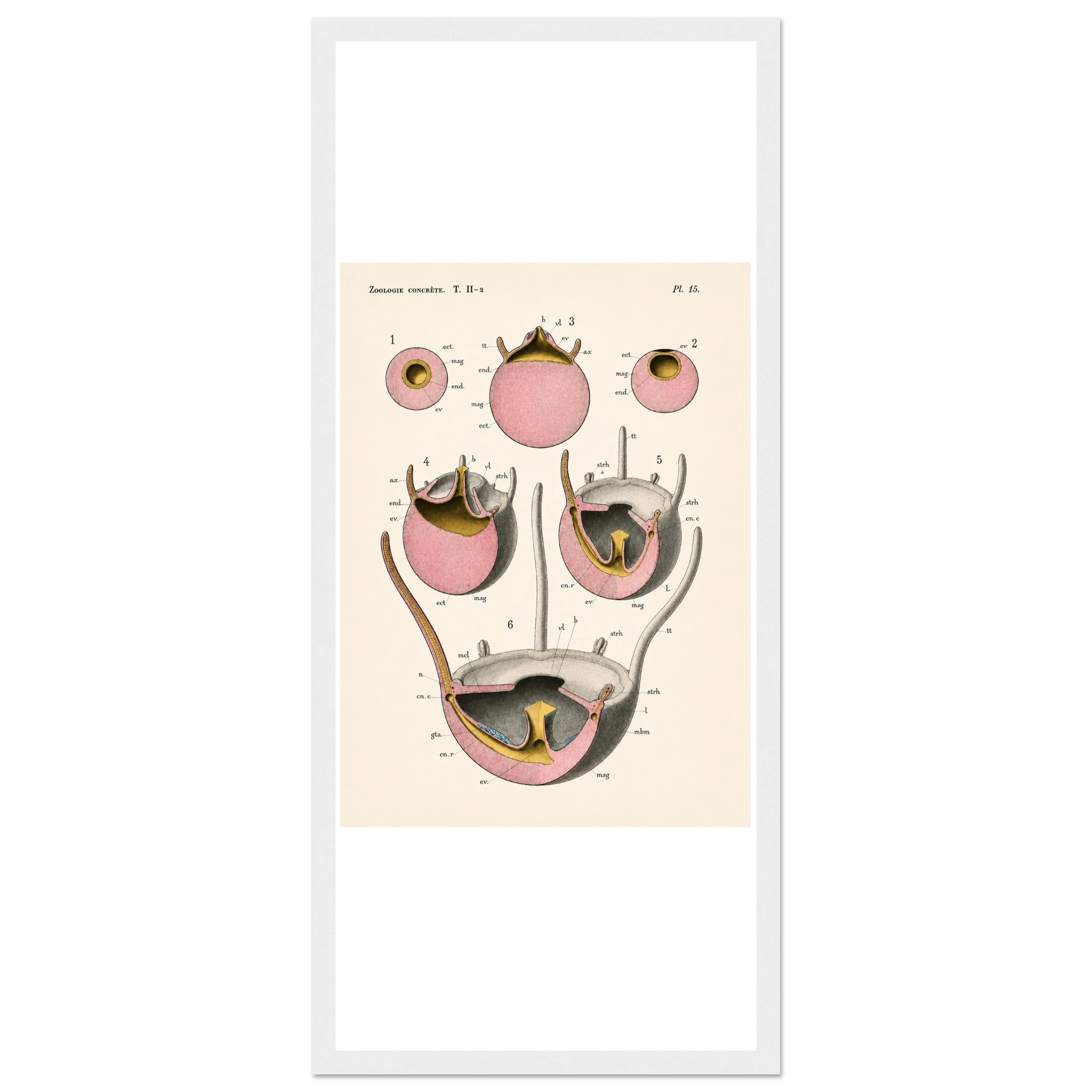 93aa4ebc-9018-4b36-b5ad-1c5b1ba39ba9