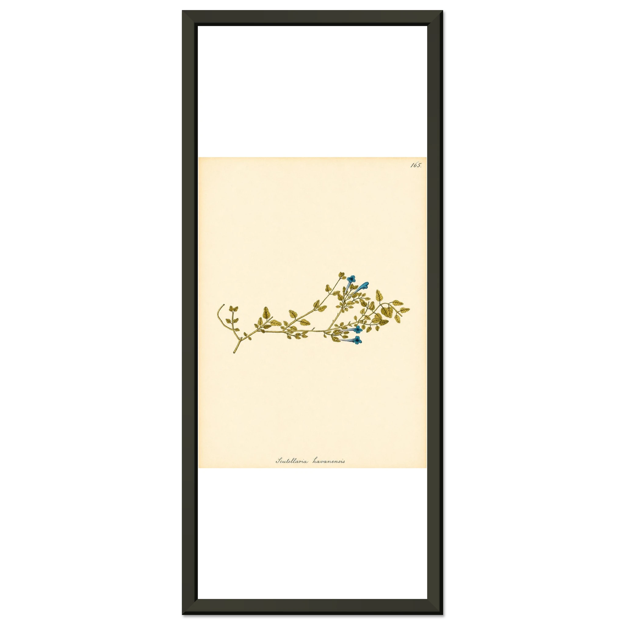93ac1fbb-e566-463c-bc2c-f0491ddede13