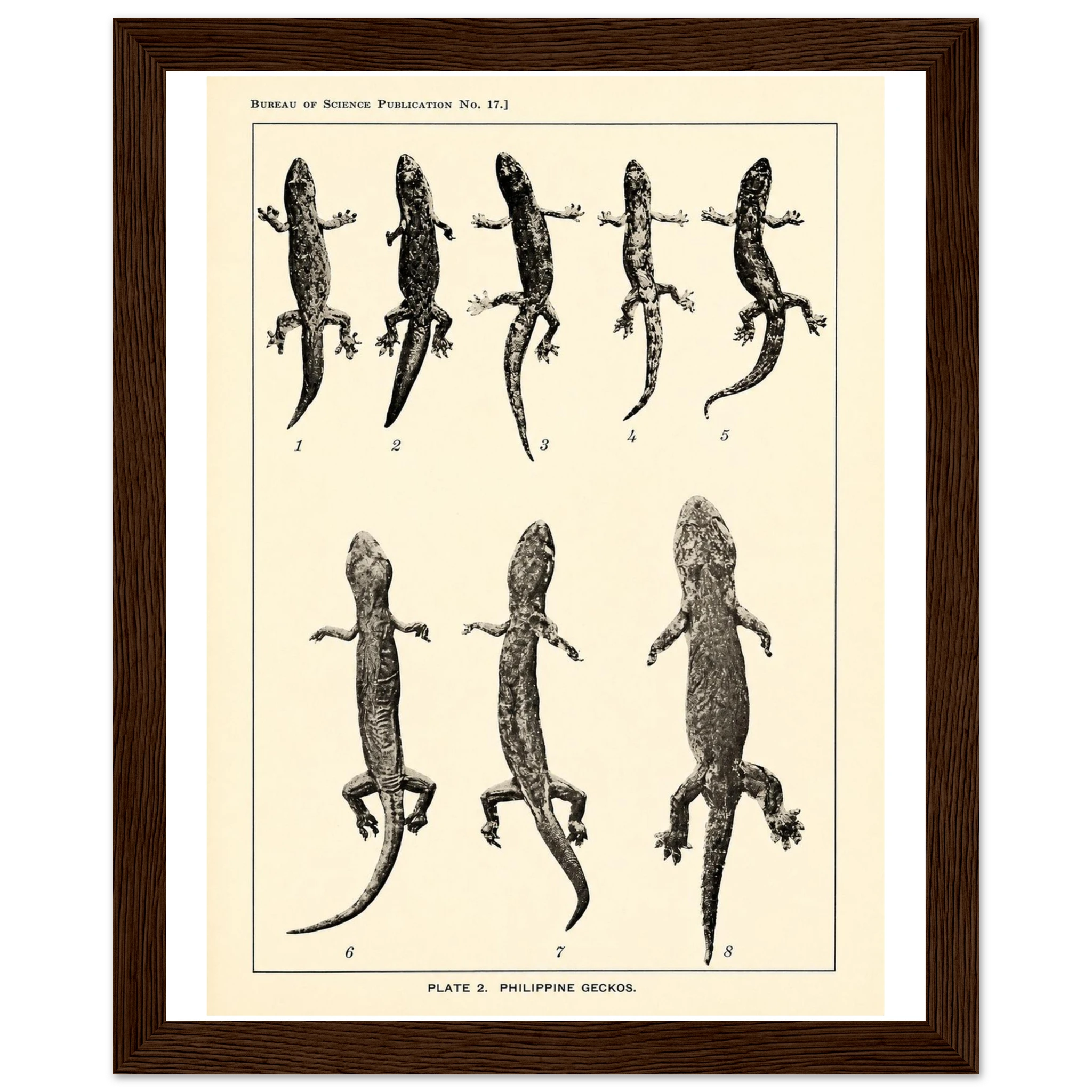 93b2c8b5-567f-4a1e-a746-2928ee2ec34e