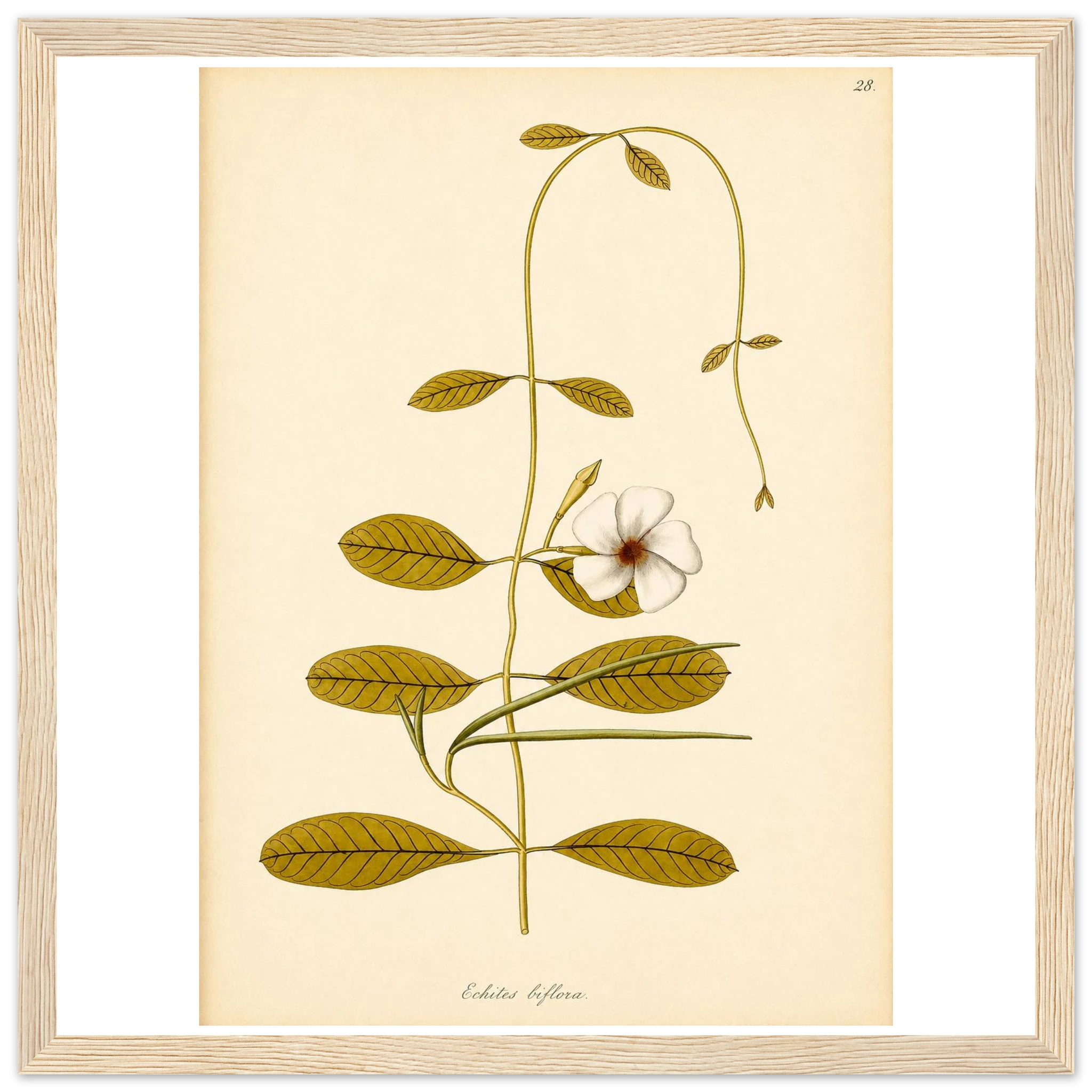 93e885d3-5a41-4285-8971-02107db065e9