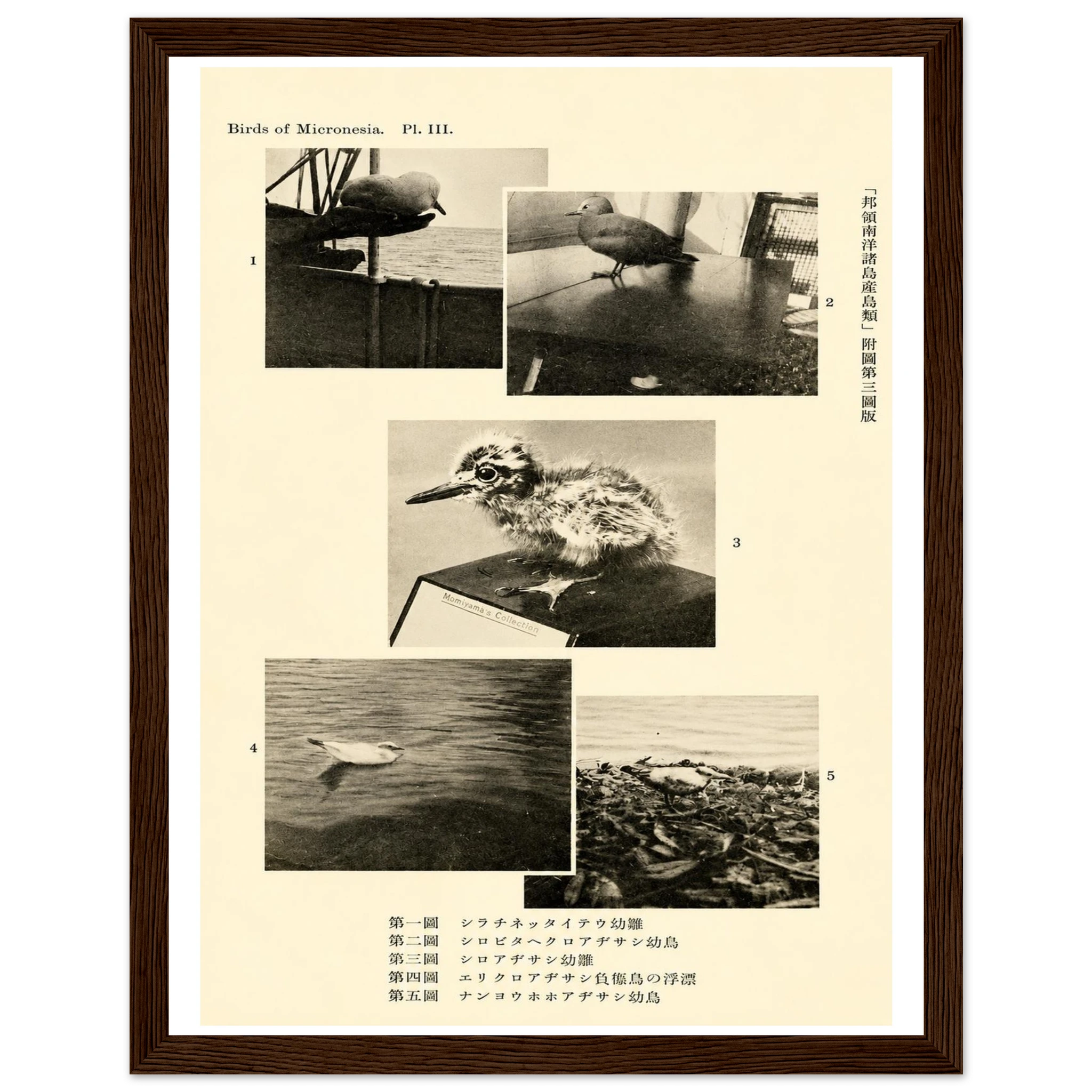 94887bb3-2ba0-49e0-bc41-b01509a287dc