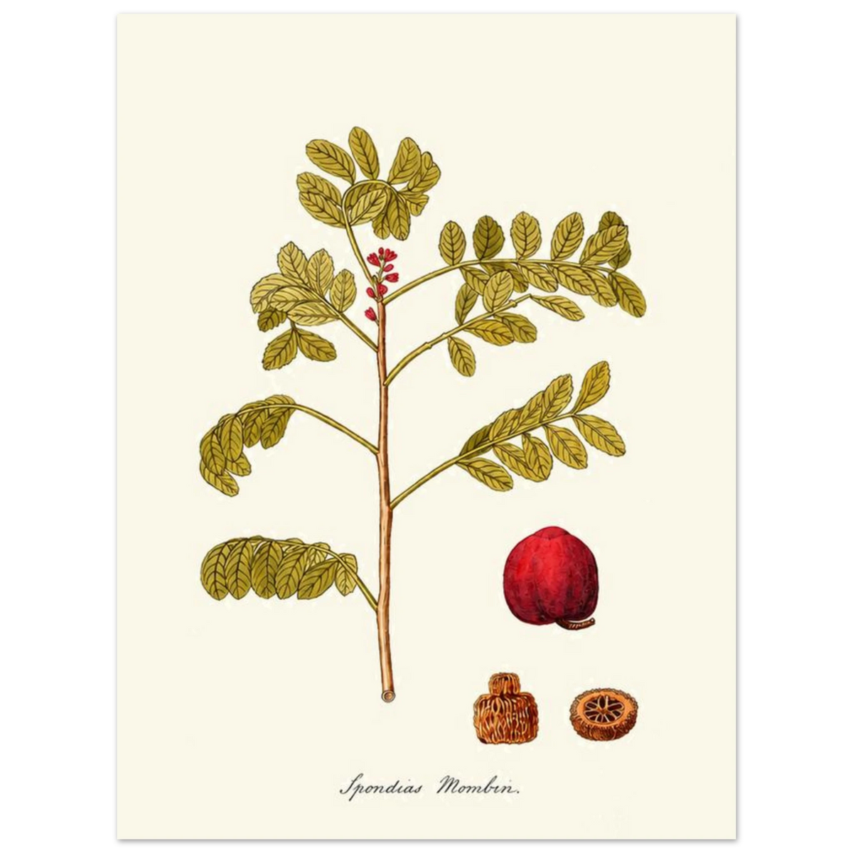 974dcb2f-fca0-4e9a-9b18-ecf44014cc4d