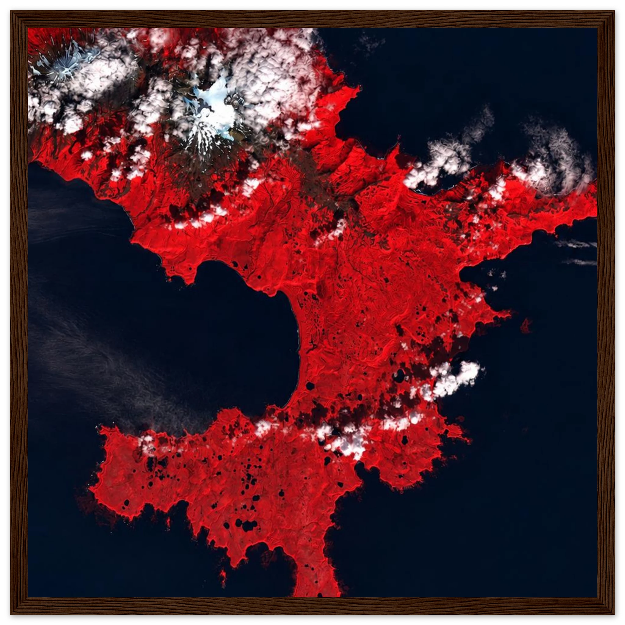 979a1ee5-66ea-48c6-afe1-dd454aaece63