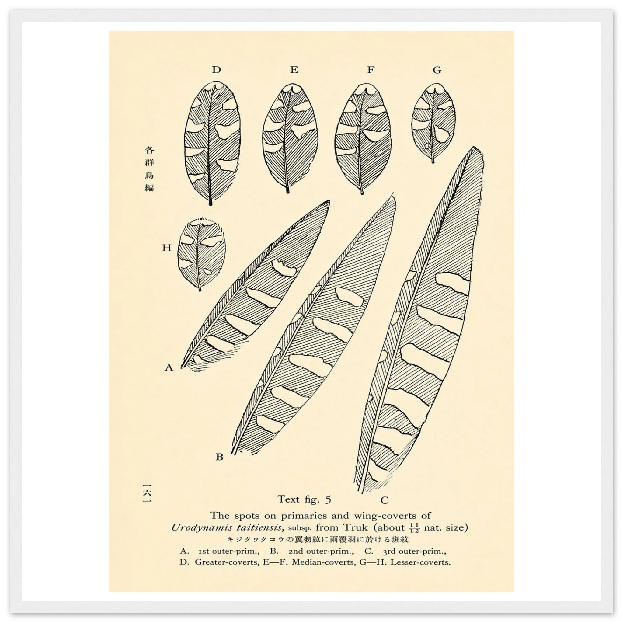 987ebaac-be71-4c52-a0b7-b67430e68607