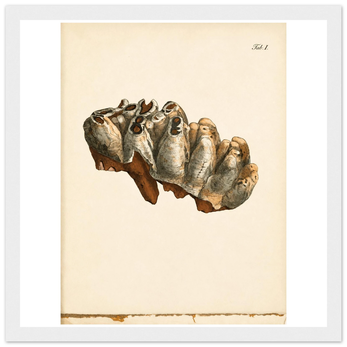 991ff4a8-a430-47db-8fa6-b8e3de0726e1