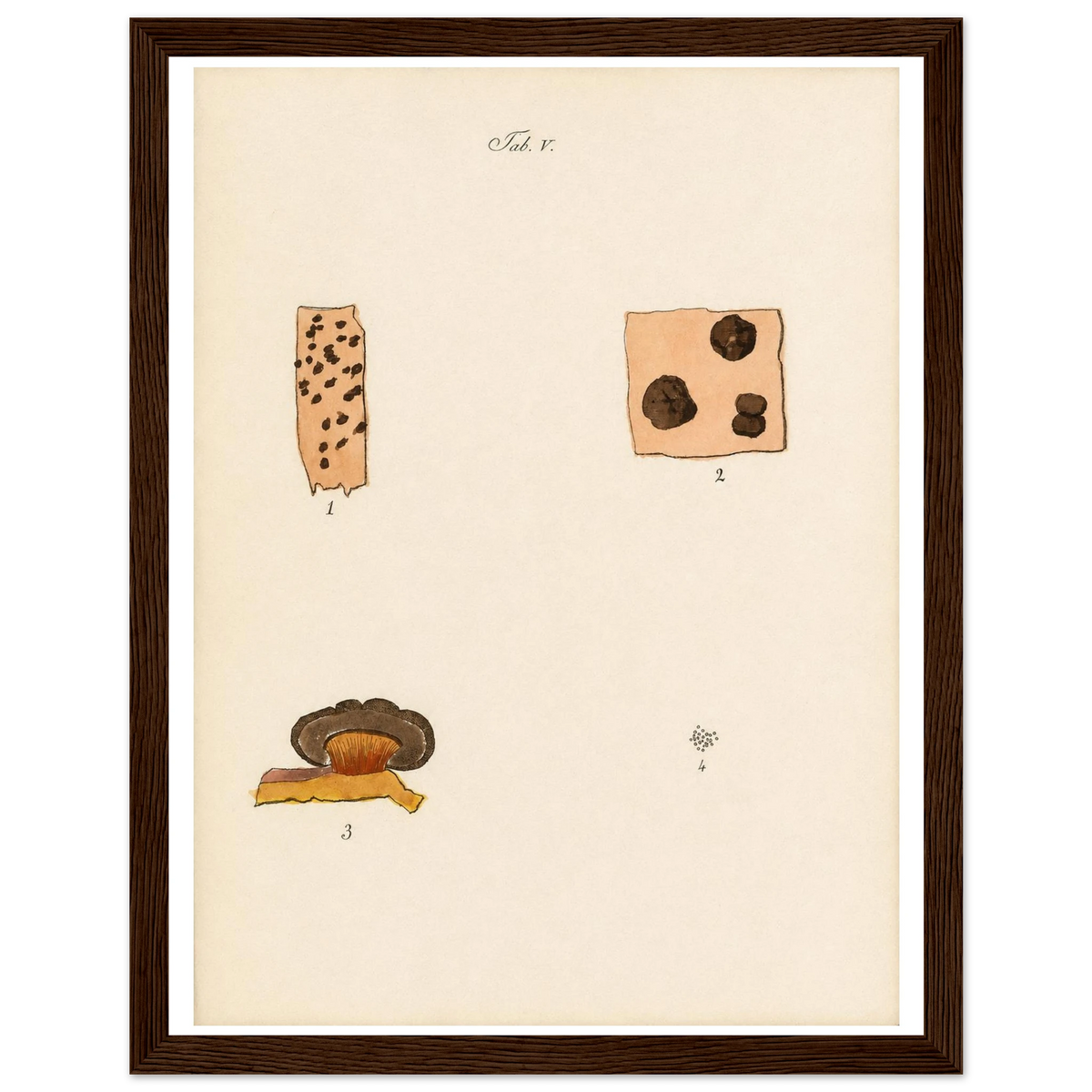 9bb2b46c-e8bf-43d1-ad31-ffd1728c4141