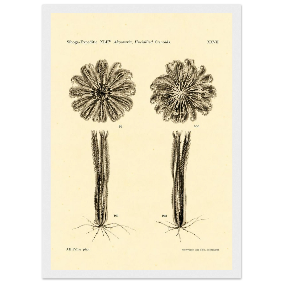 9c1891fe-c005-4a09-9ca6-218dcb53419f