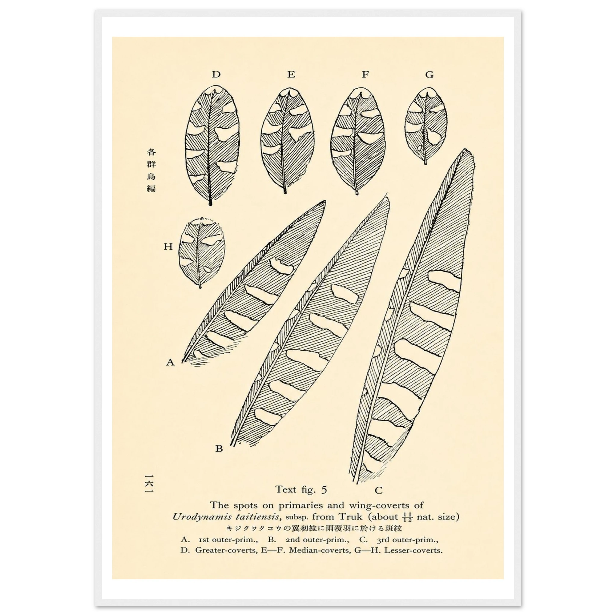9c73d426-ebce-495d-aabd-0938c1da68af