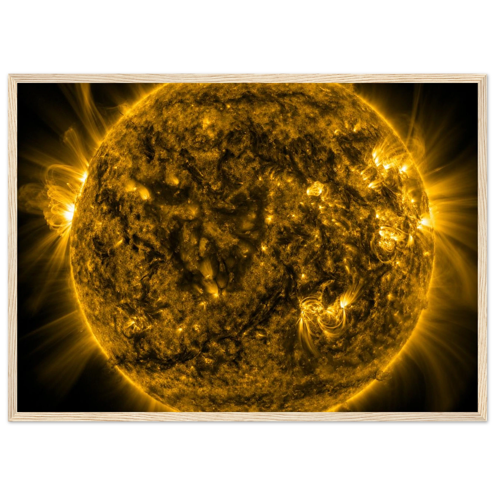 9d43b004-2e77-47f3-ac1c-75a99c65410d