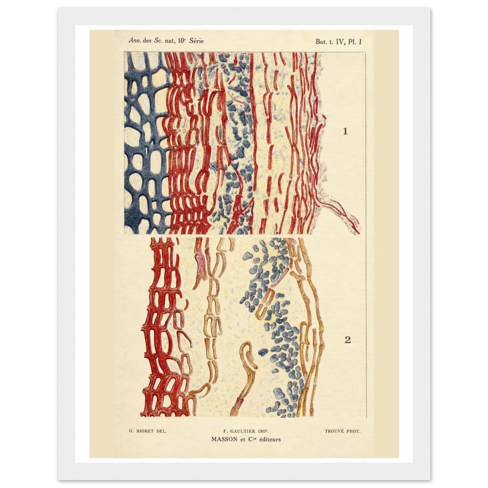 9dfeabf9-8b82-4867-a61a-d616719fcc18