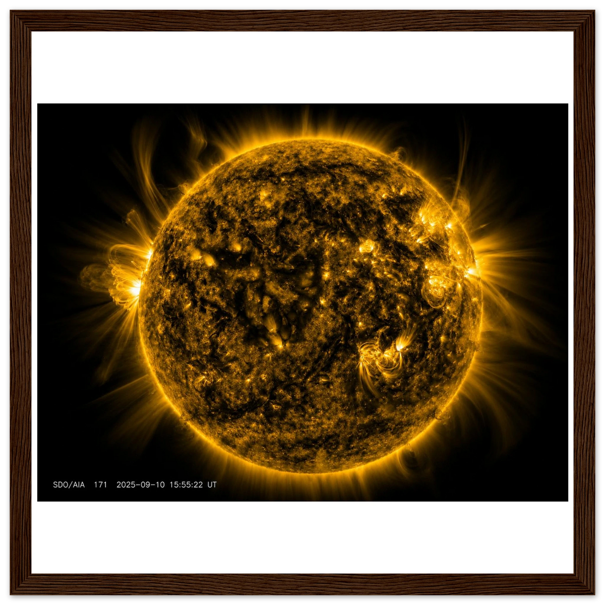 9e165ca0-c57a-4e02-ad2a-6b65fd1c5277