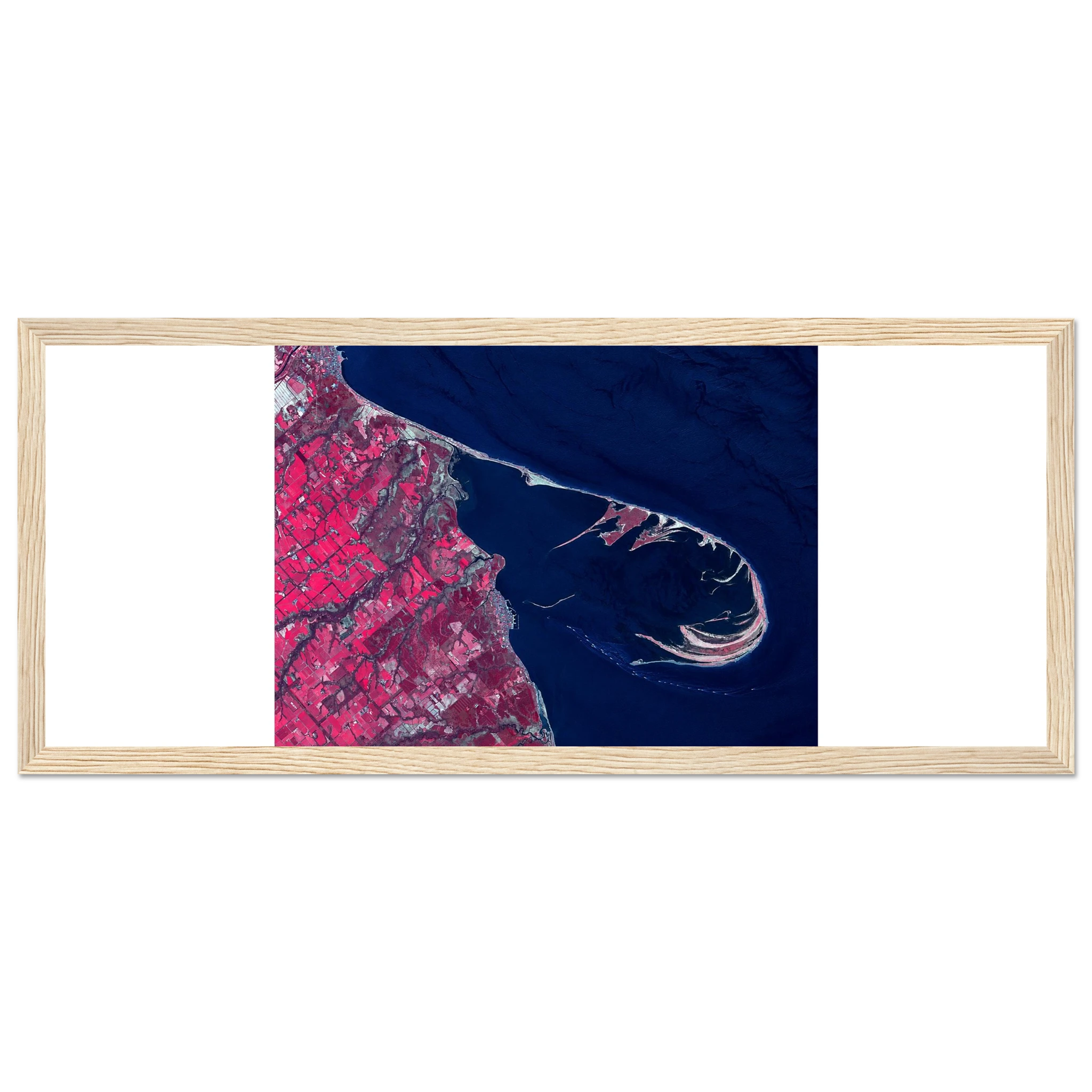 9eb39195-aa26-4573-ba9c-b36389497109