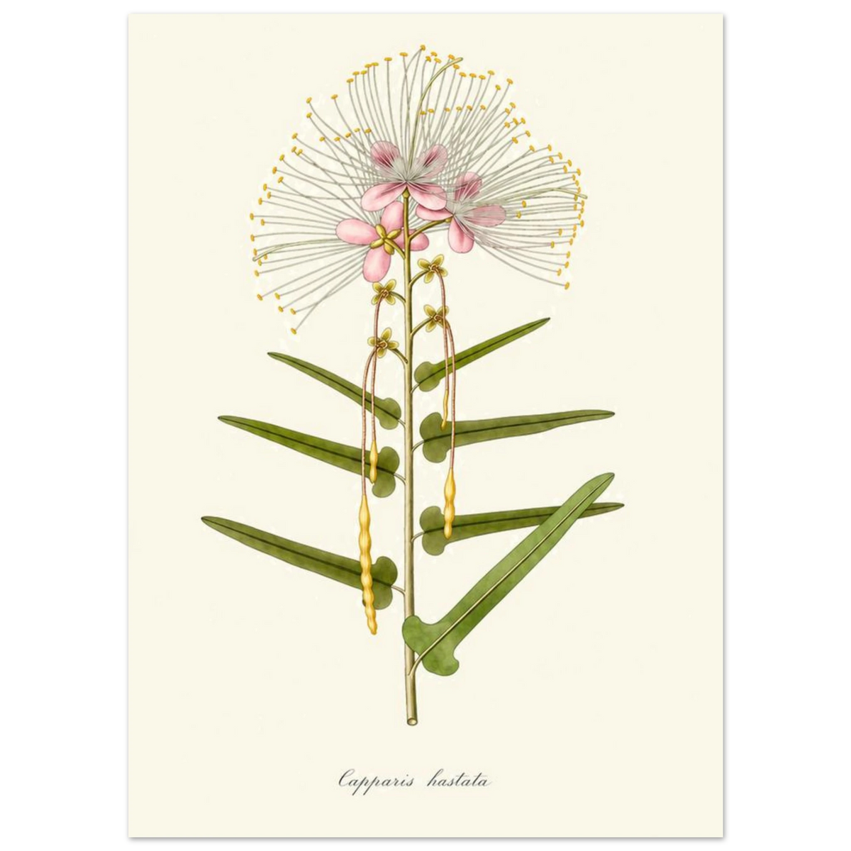 9f631247-5bee-4c4c-bacf-bcb749ce9c52