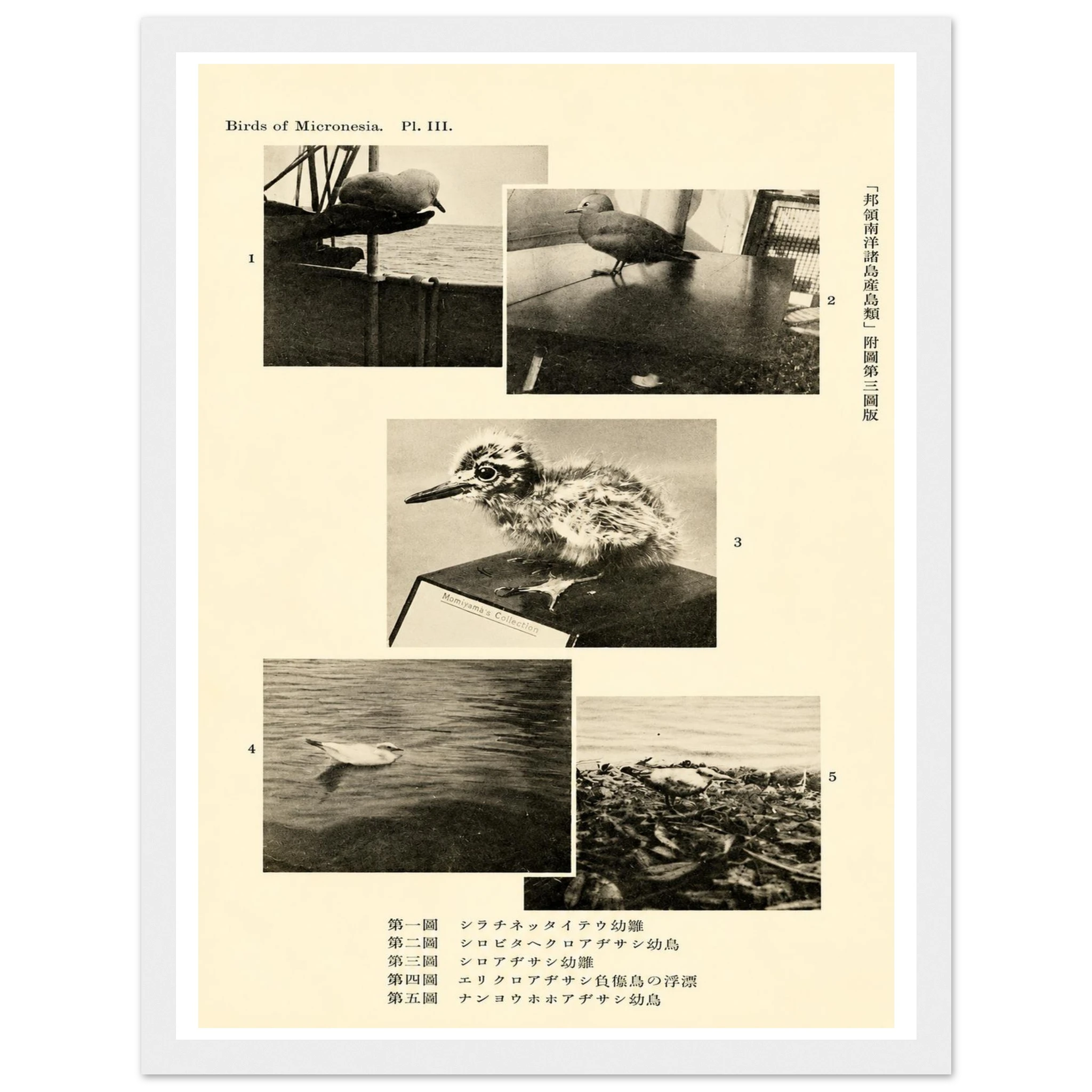 9fd869b5-0180-4c5f-9f25-d0c6bbba6bb8