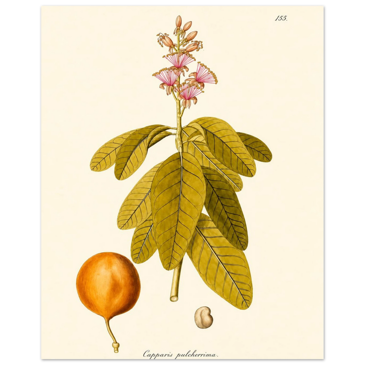 a01400d0-fcab-4bbc-9017-668c1622cec0
