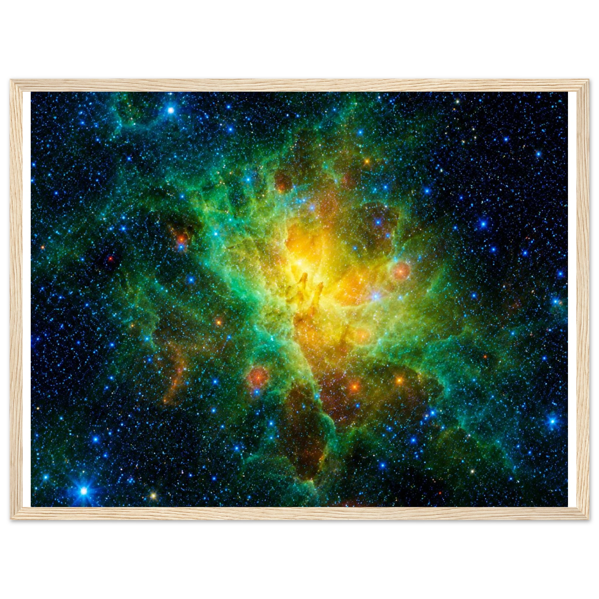 a0a8e016-1107-498a-9568-e29eb583fe65