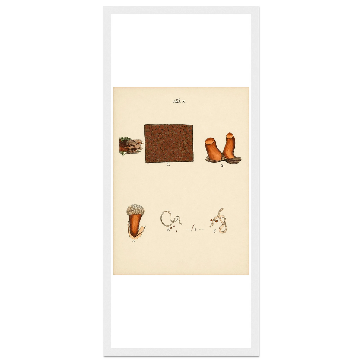 a0b3627a-560a-43ef-9caf-b62bef773bb0