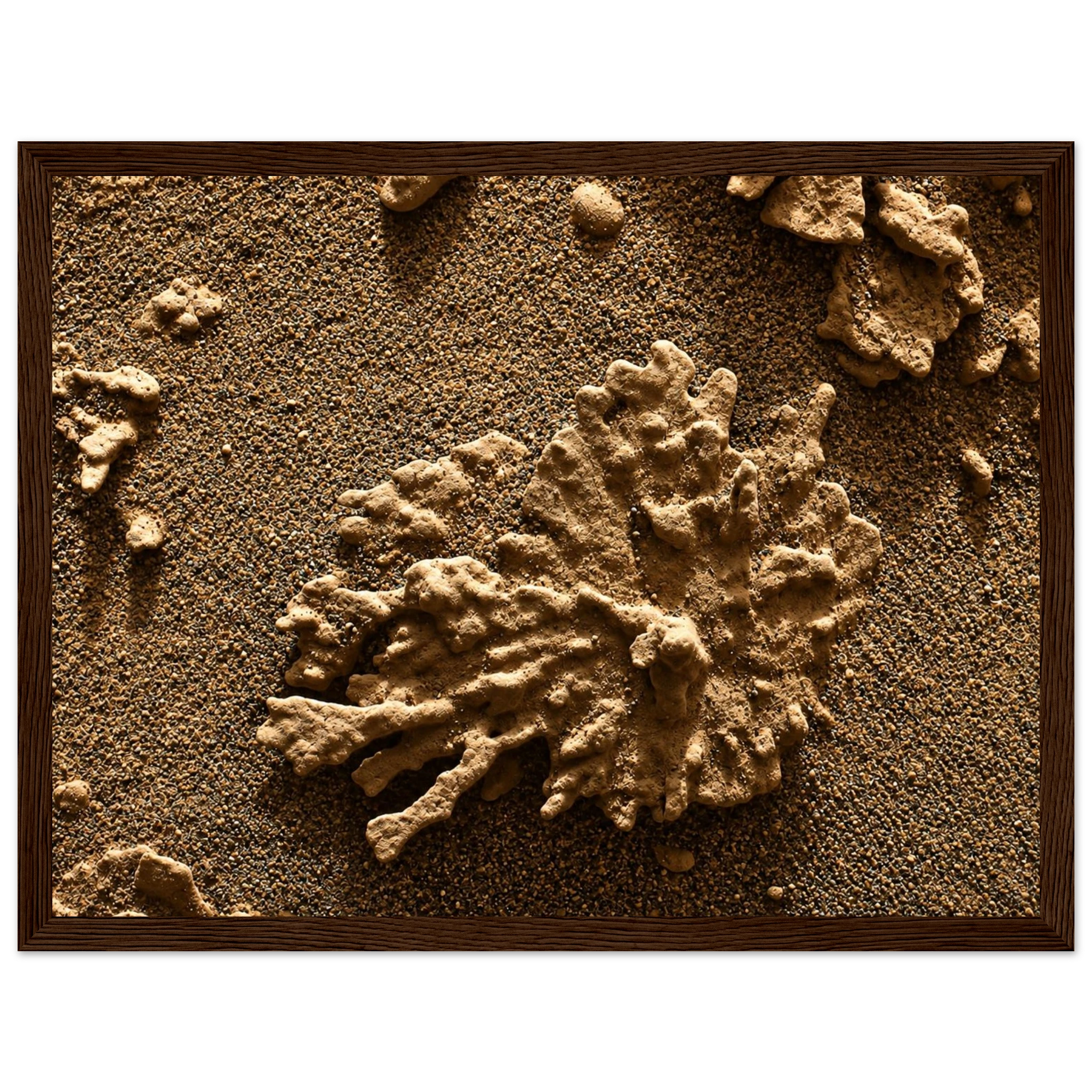 a185c258-56c6-4627-9e5c-d1ae9793fb45