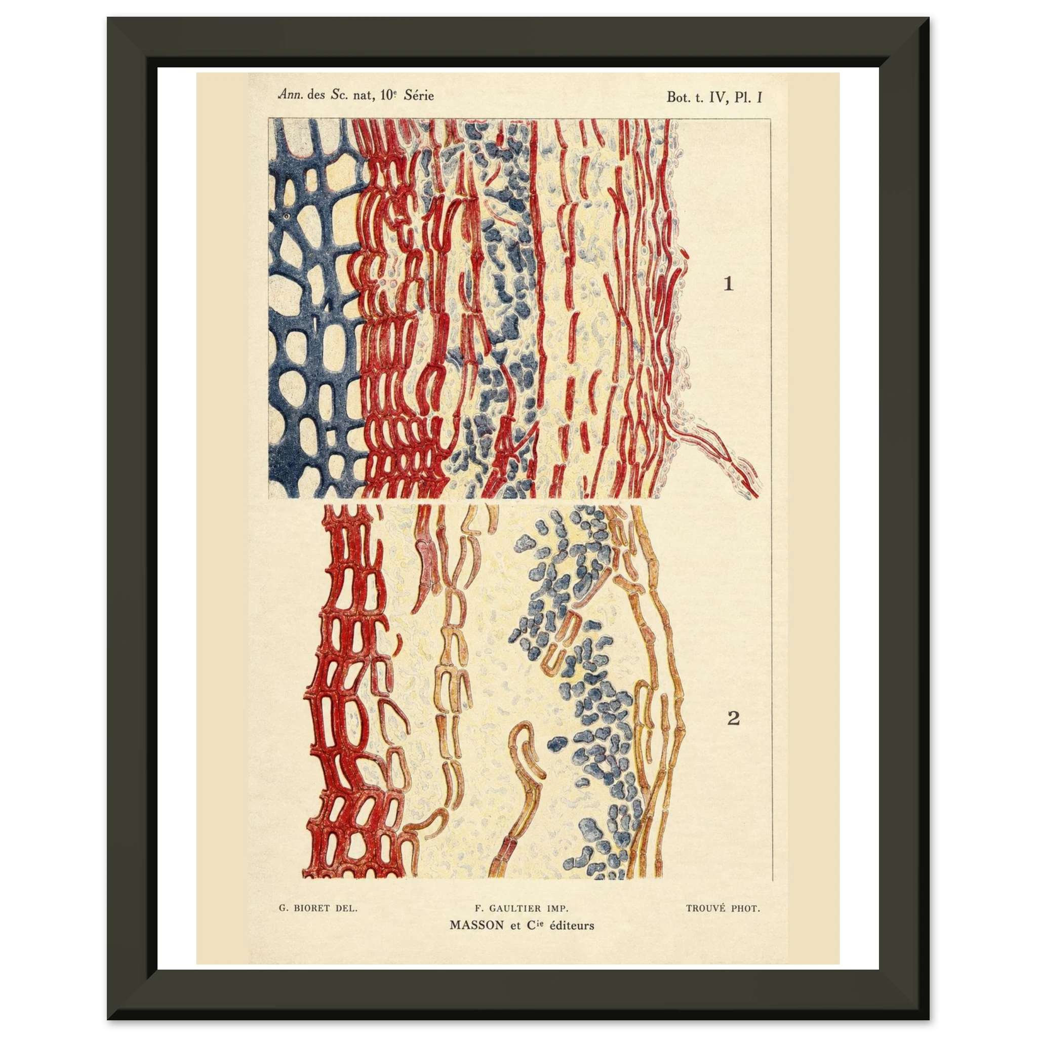 a1d92581-58b7-4b31-861d-902f399c8ee8