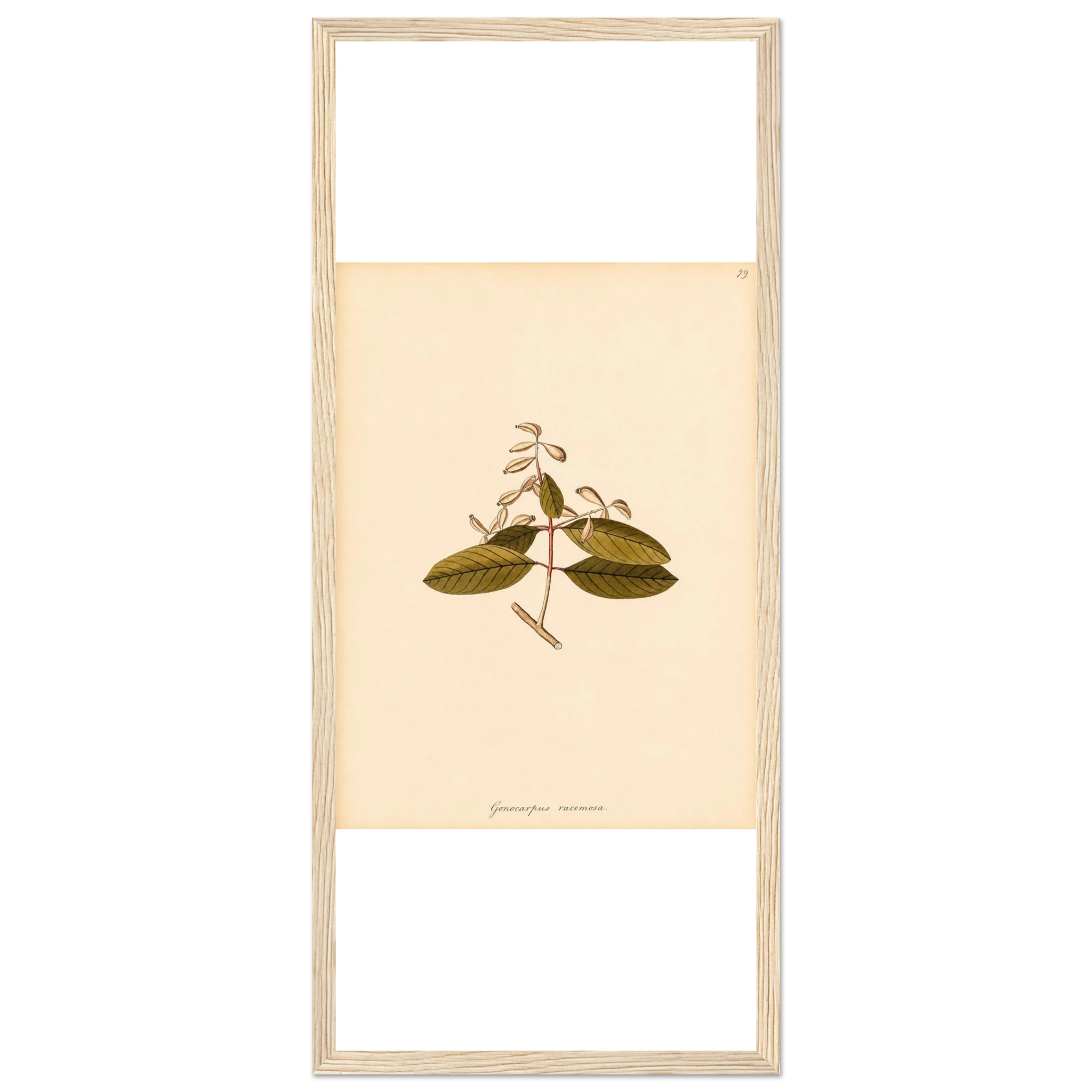 a22ef120-af69-4fff-8a7e-539384393060