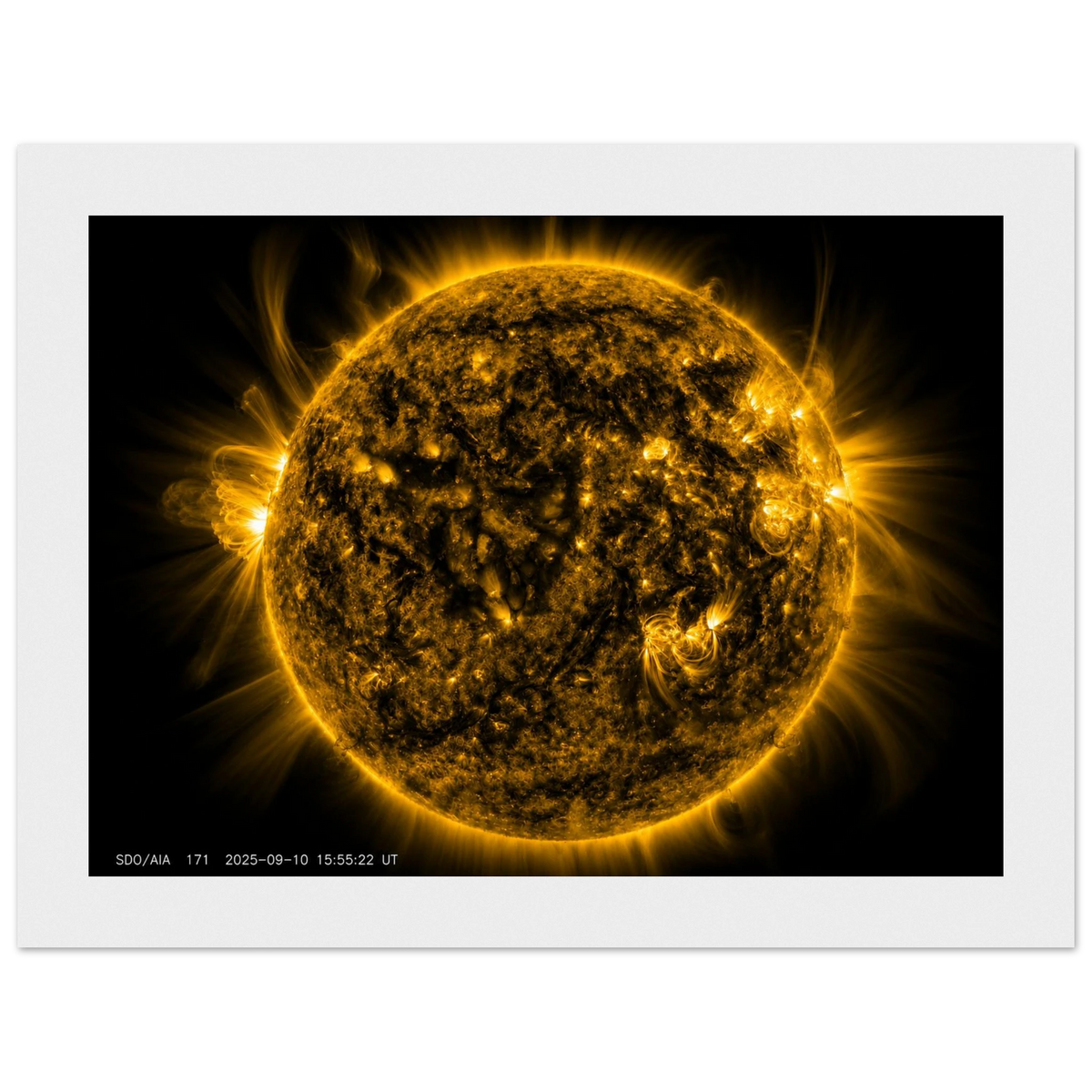 a26814c8-2cd4-4221-b045-5bc224dfaa19