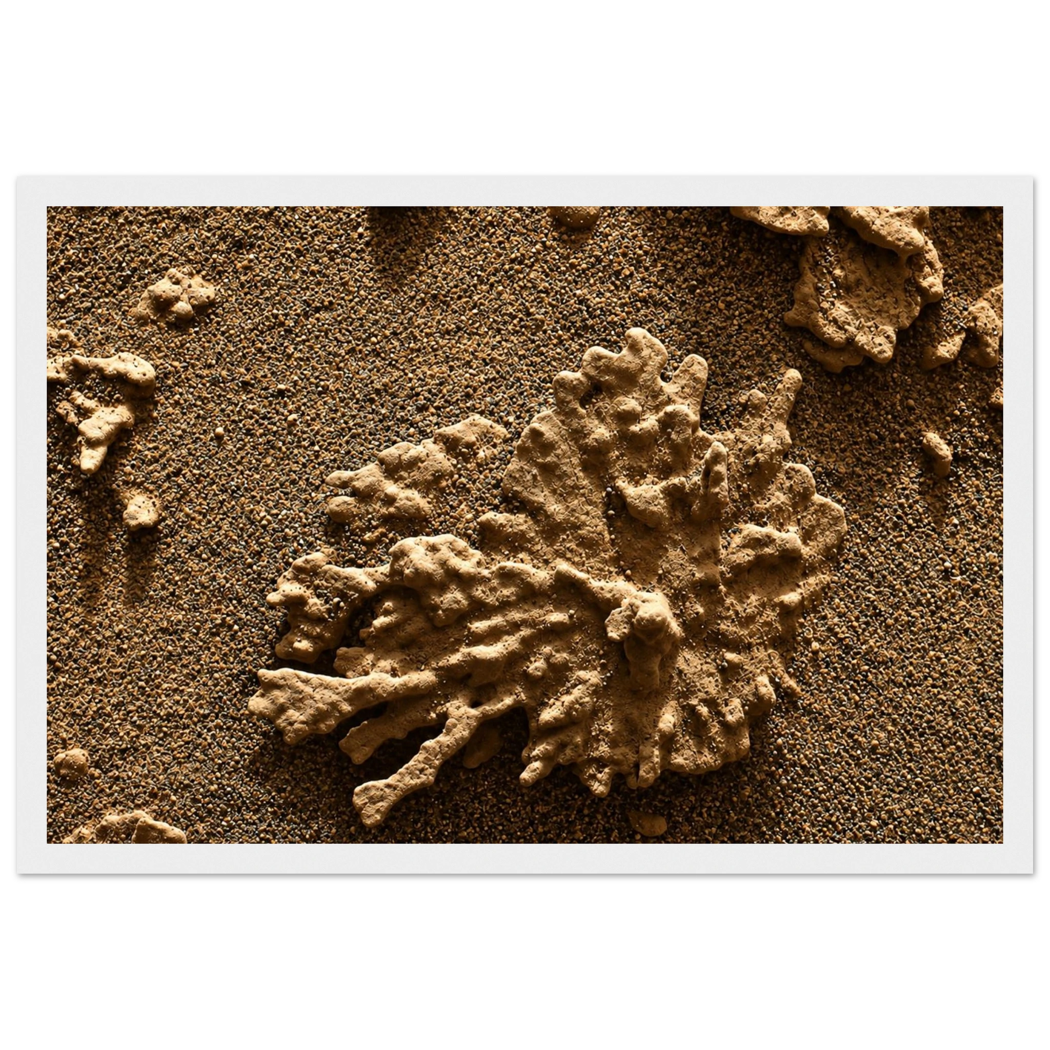 a274ceea-8089-4626-a6d1-2e089fd51204