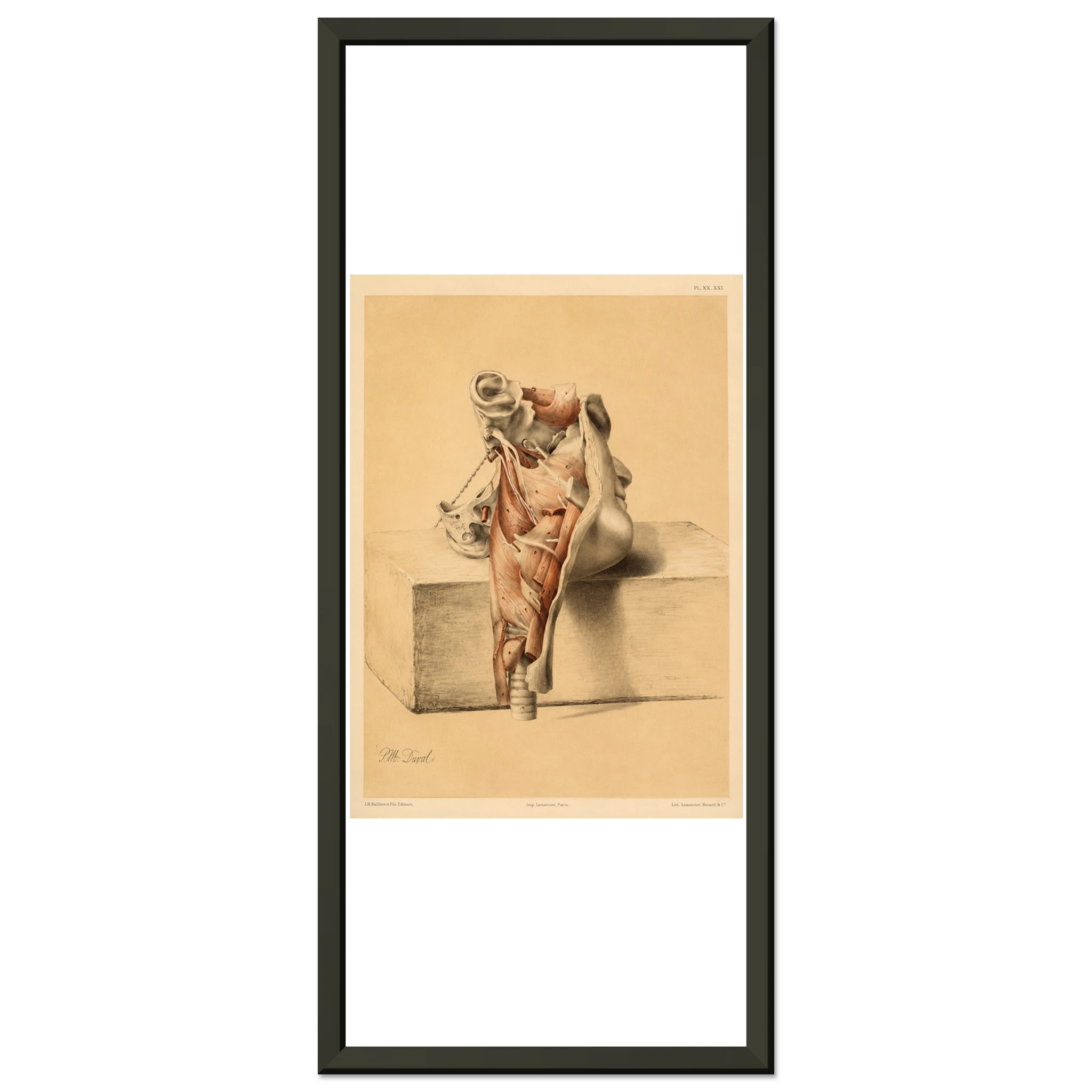 a2e41c76-3337-465d-80c1-fd855475d521