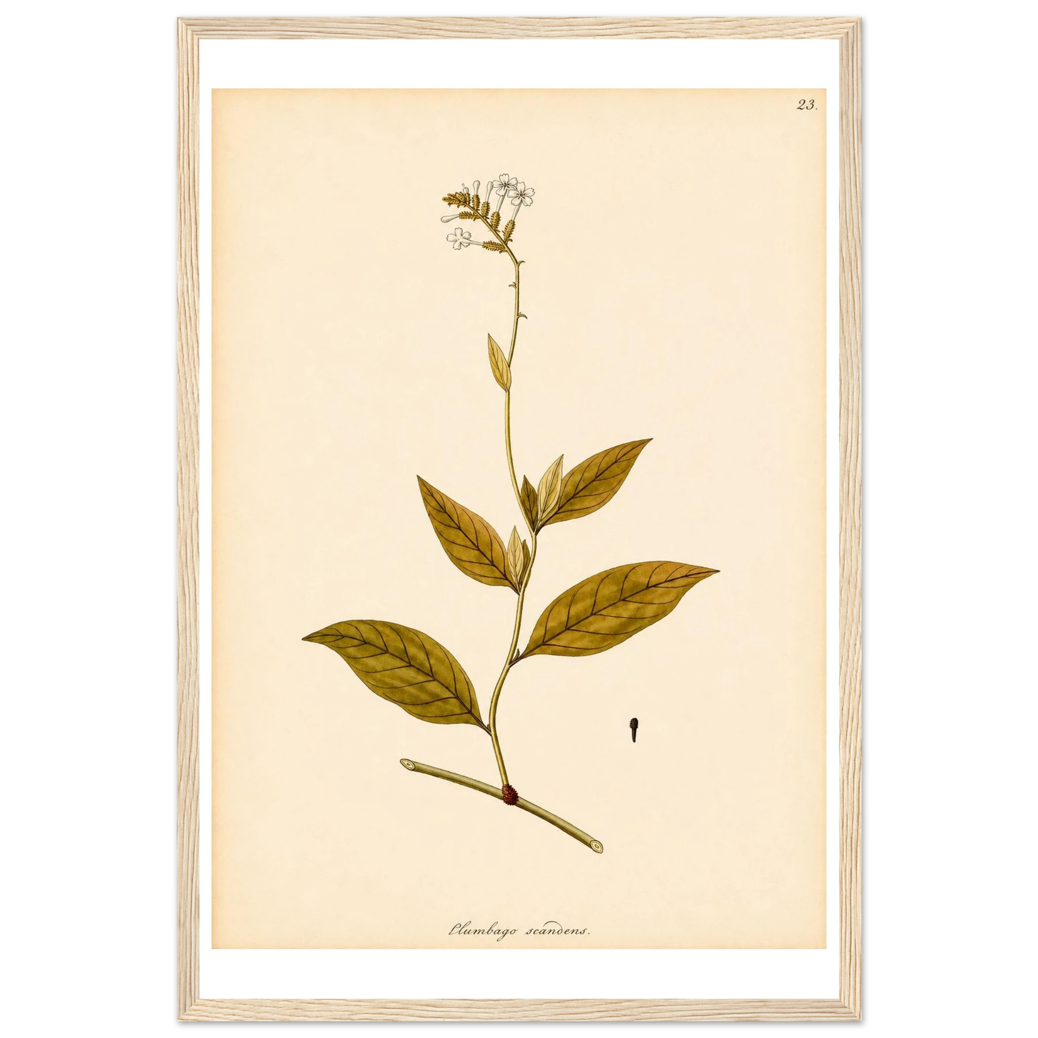 a33680df-fb3b-4e3b-ab31-a37839de822d