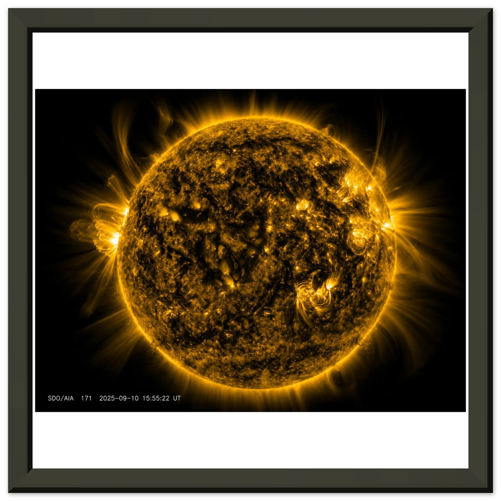 a33e62cc-ca72-4d71-a5cc-3892c42d8af7