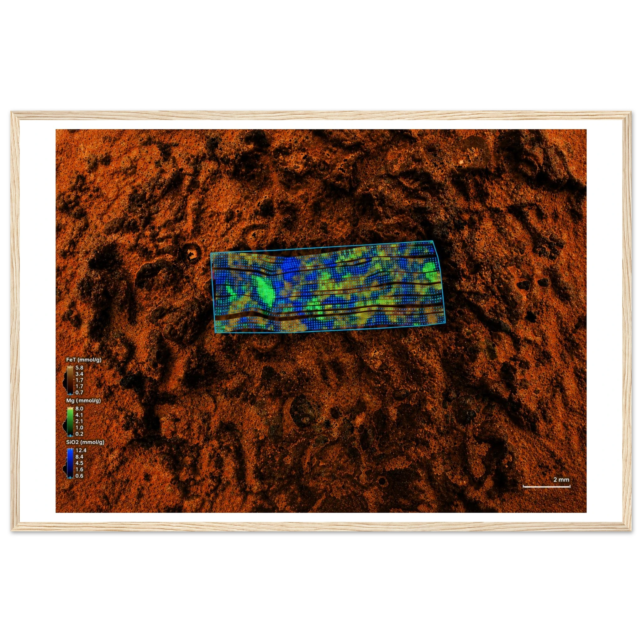 a3d650bd-2a32-4089-8cef-1e56b630d272
