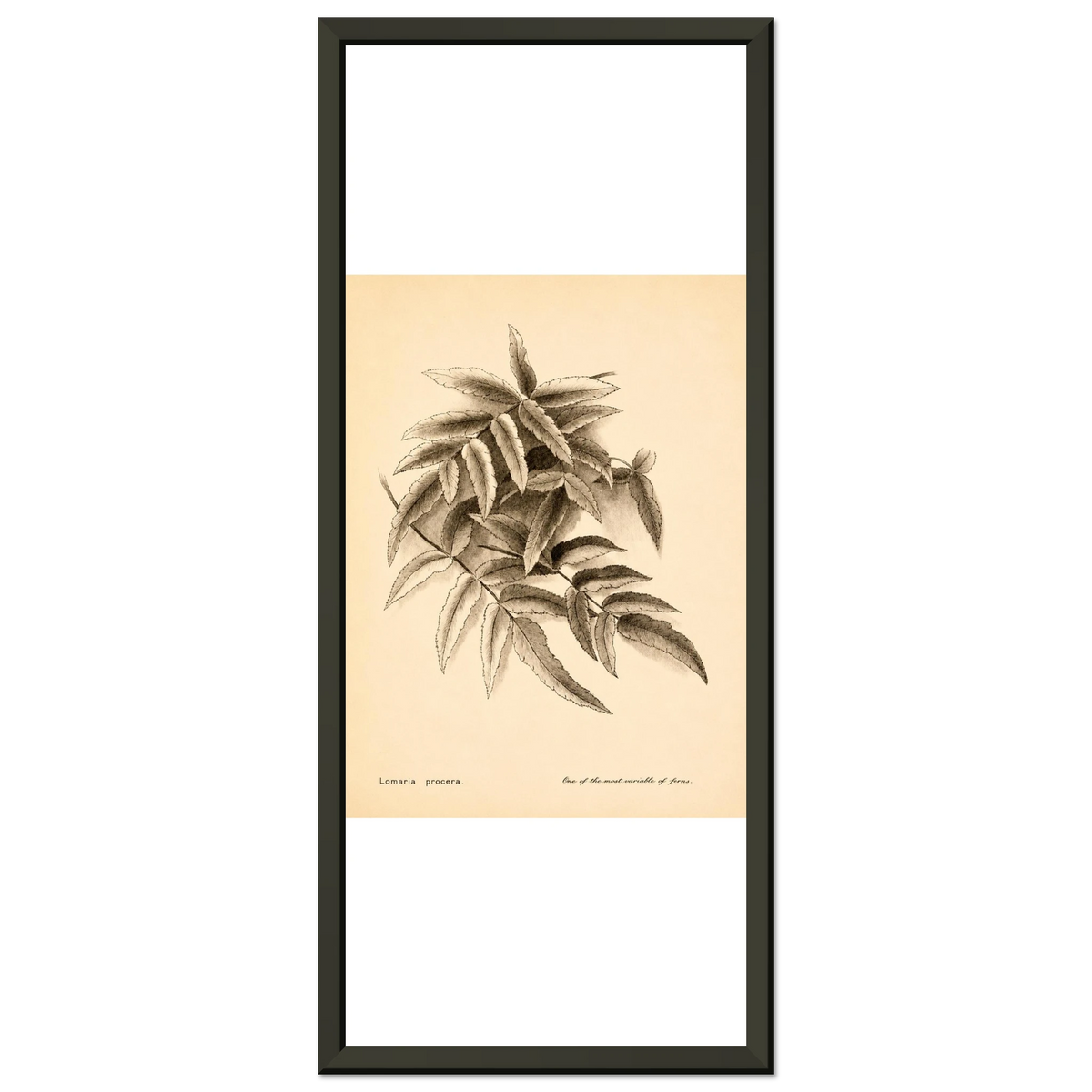 a46e1f92-ef03-49da-8453-a44473113c32