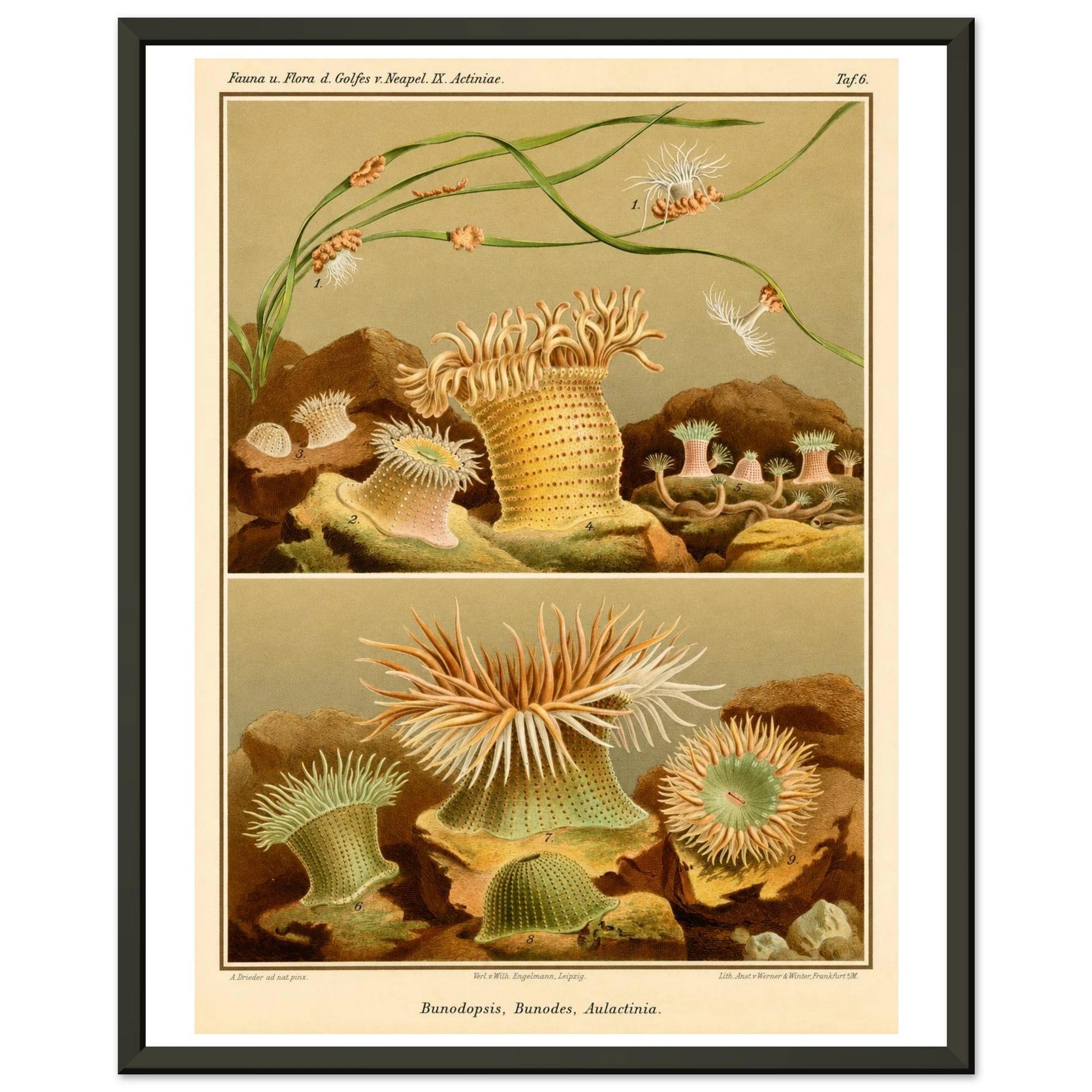 a5234c9a-c441-4b70-a689-efa7cbe17f0d
