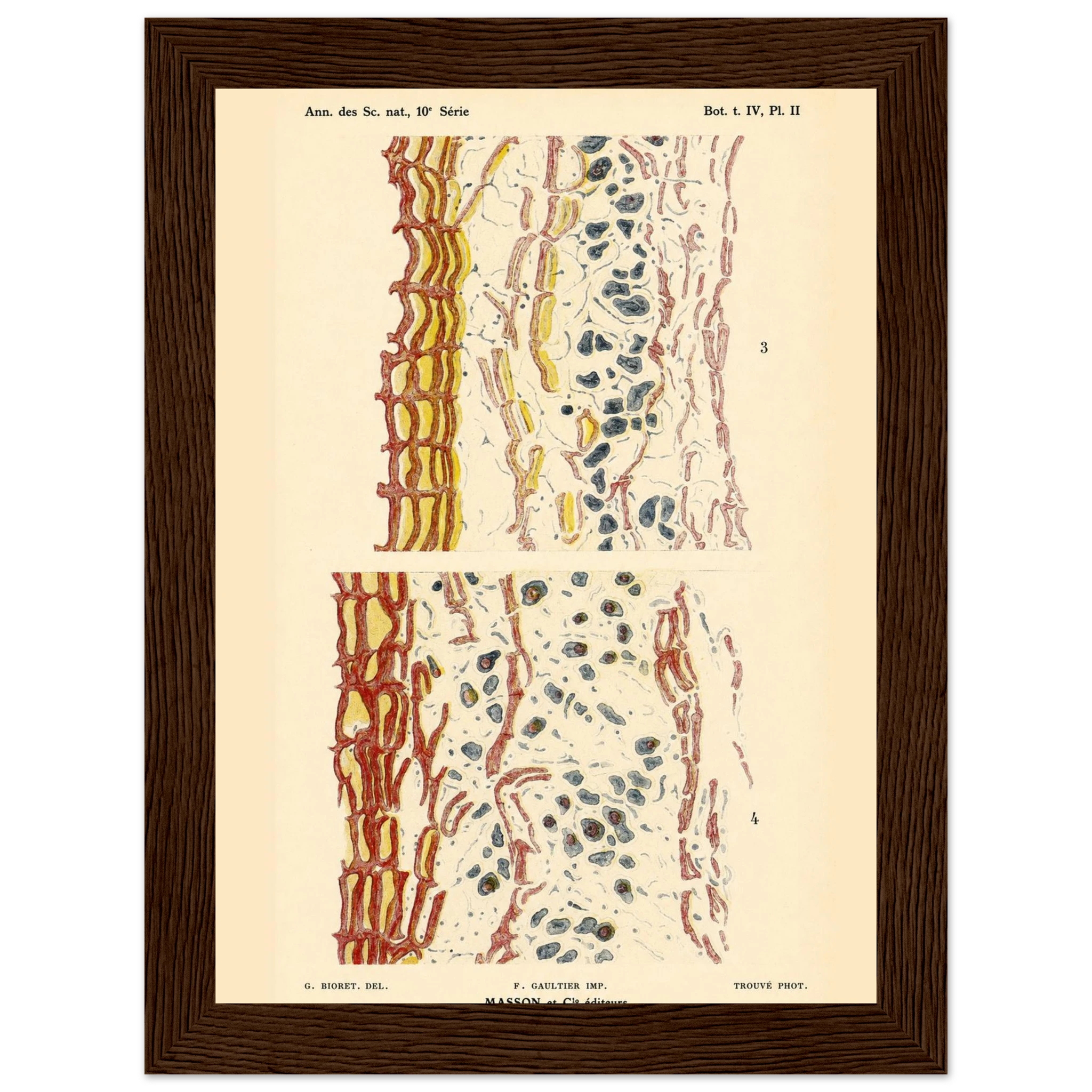 a55544b4-675c-4dac-a74c-296c0ee0409a