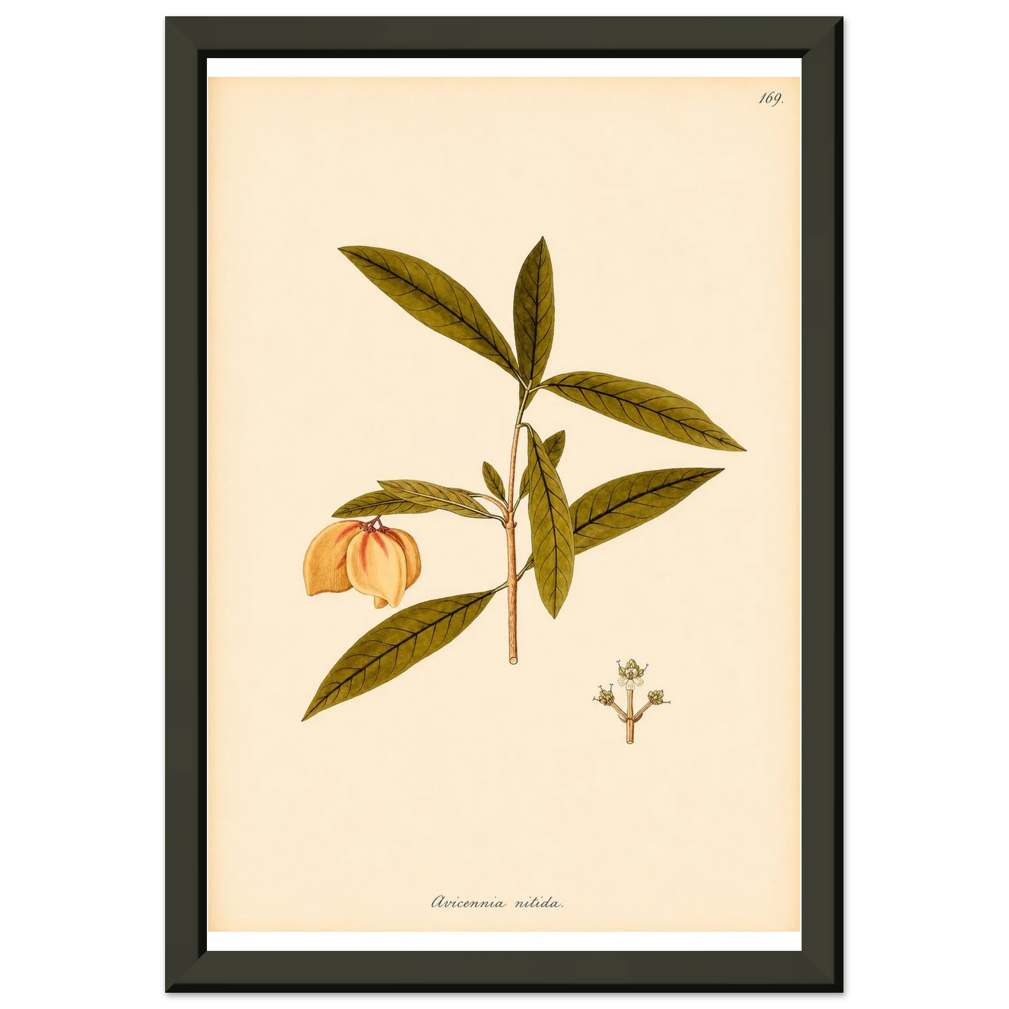 a57a2363-67b3-4093-8891-880a970b6353