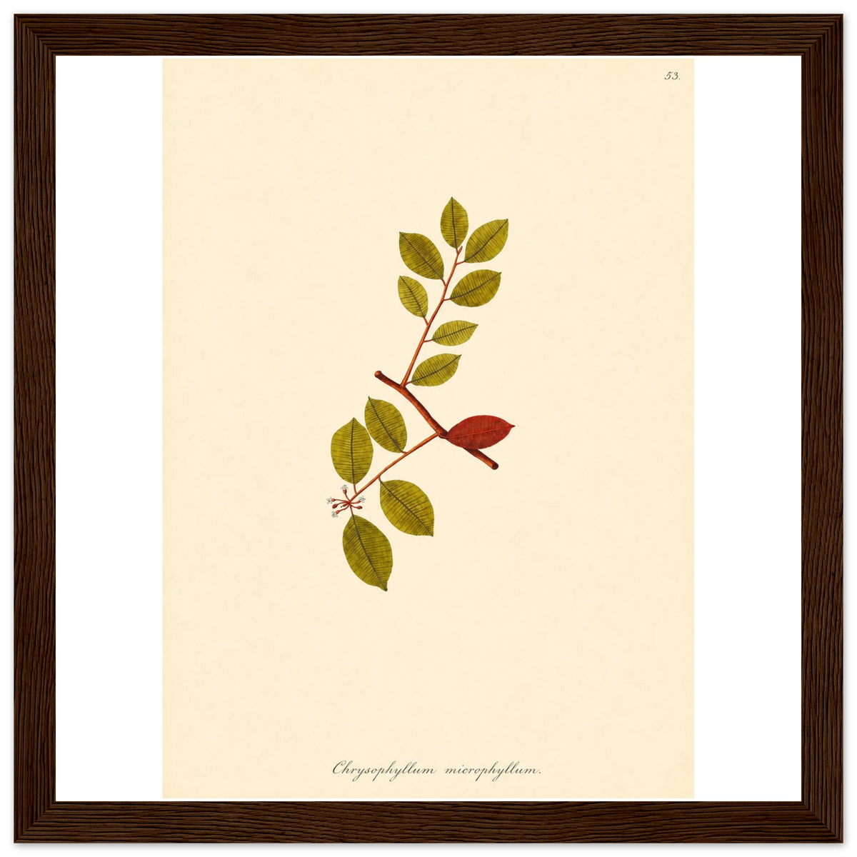 a5921eb8-4a10-4fab-ab1d-a2f32b9acad5