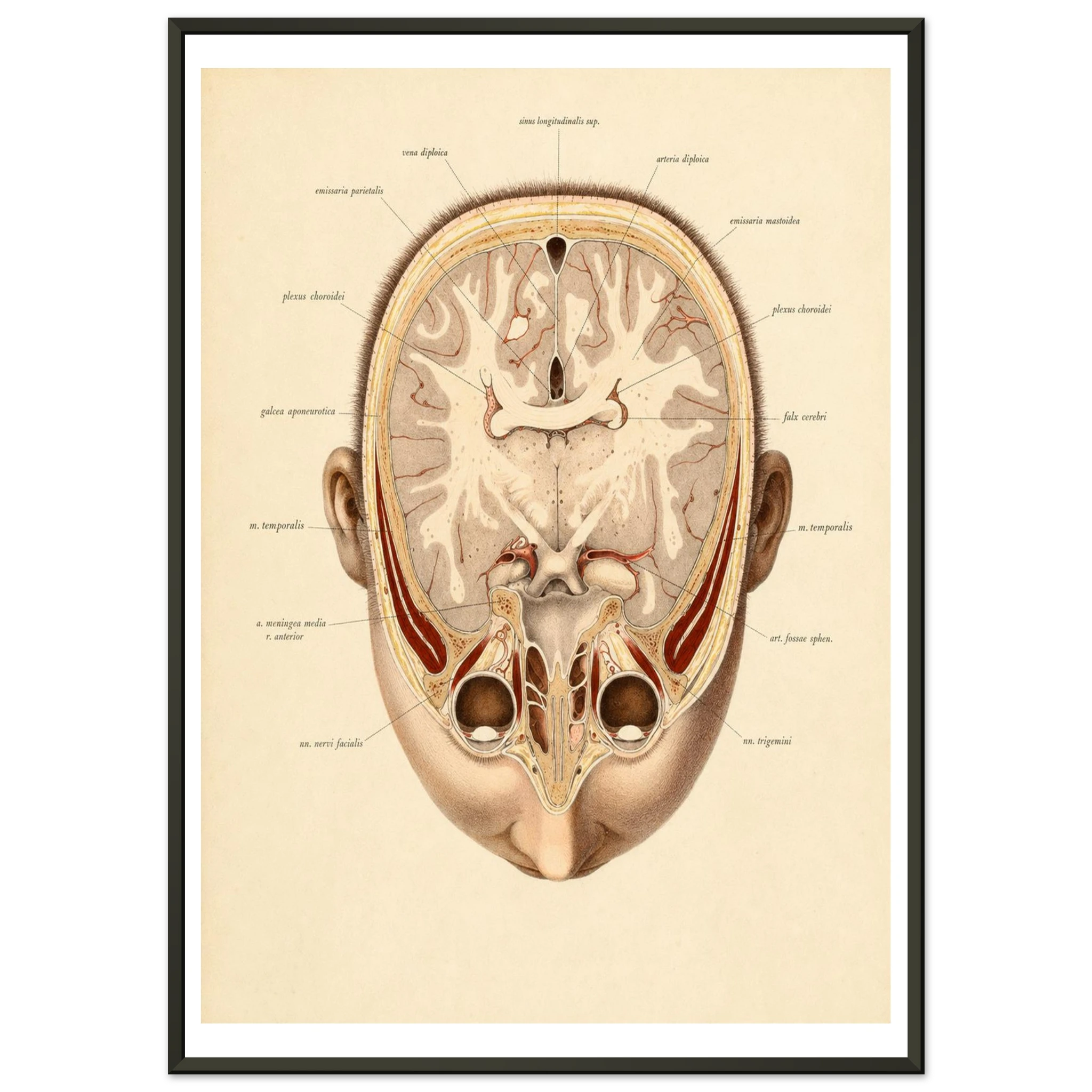 a5a9c3e7-cf51-4c96-98e0-ee9fd0b4473d